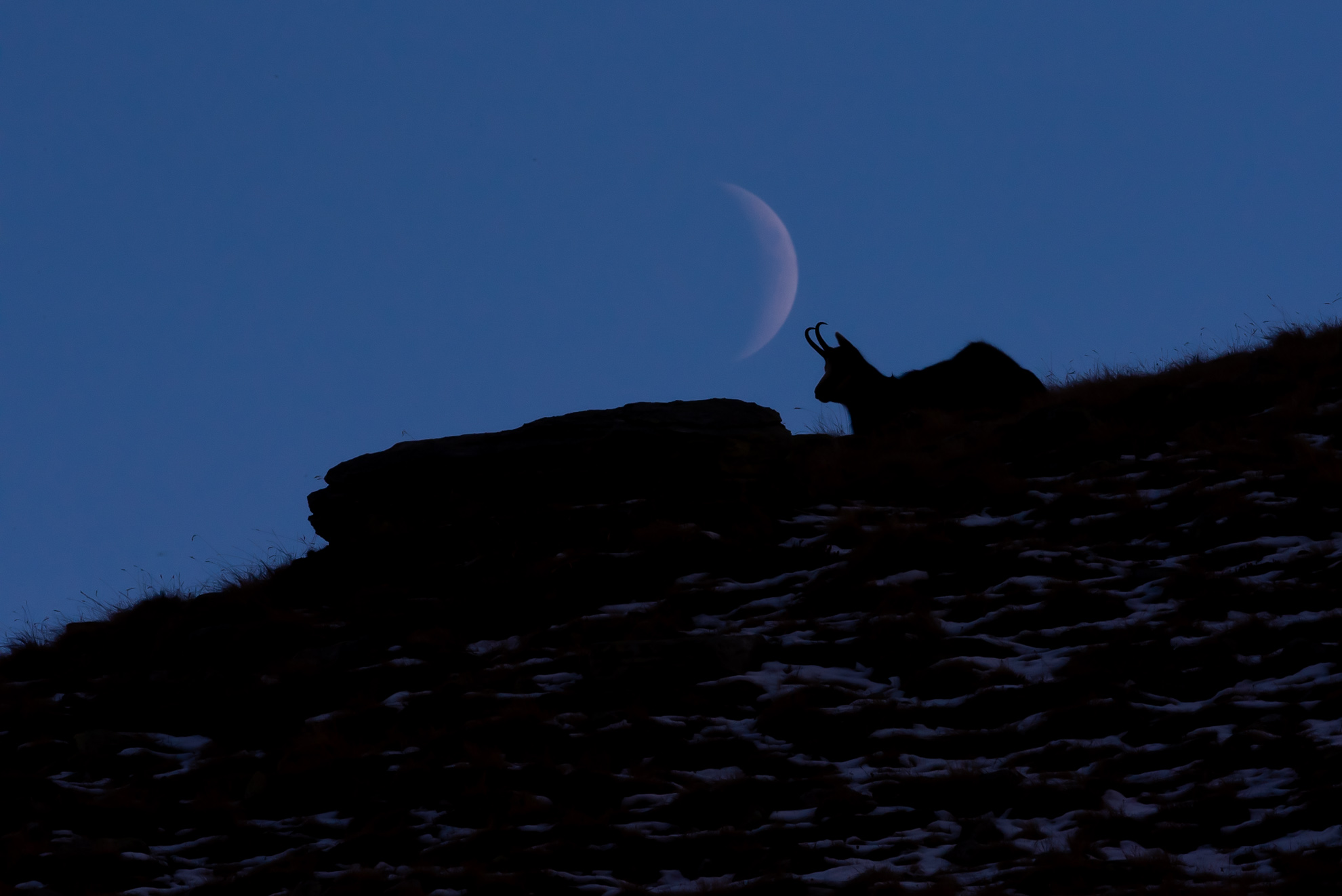 Last lights at the shelter