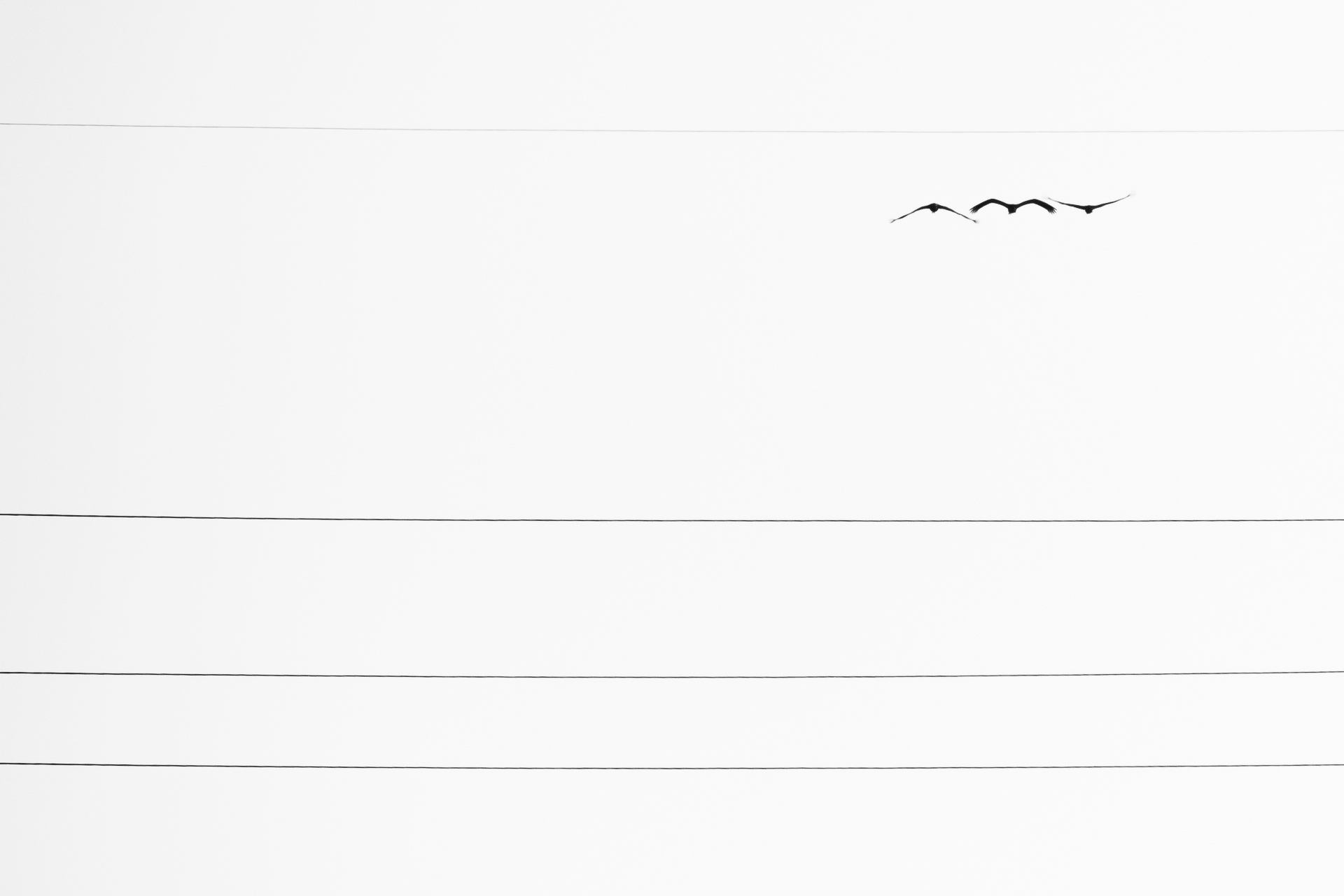 Between the threads of light