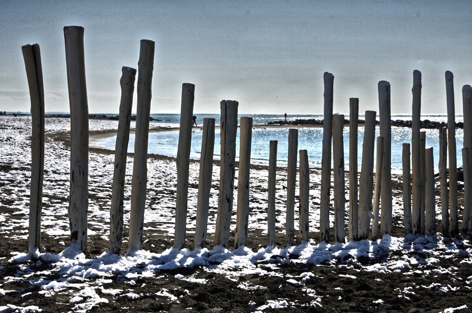 somewhat unusual landscape