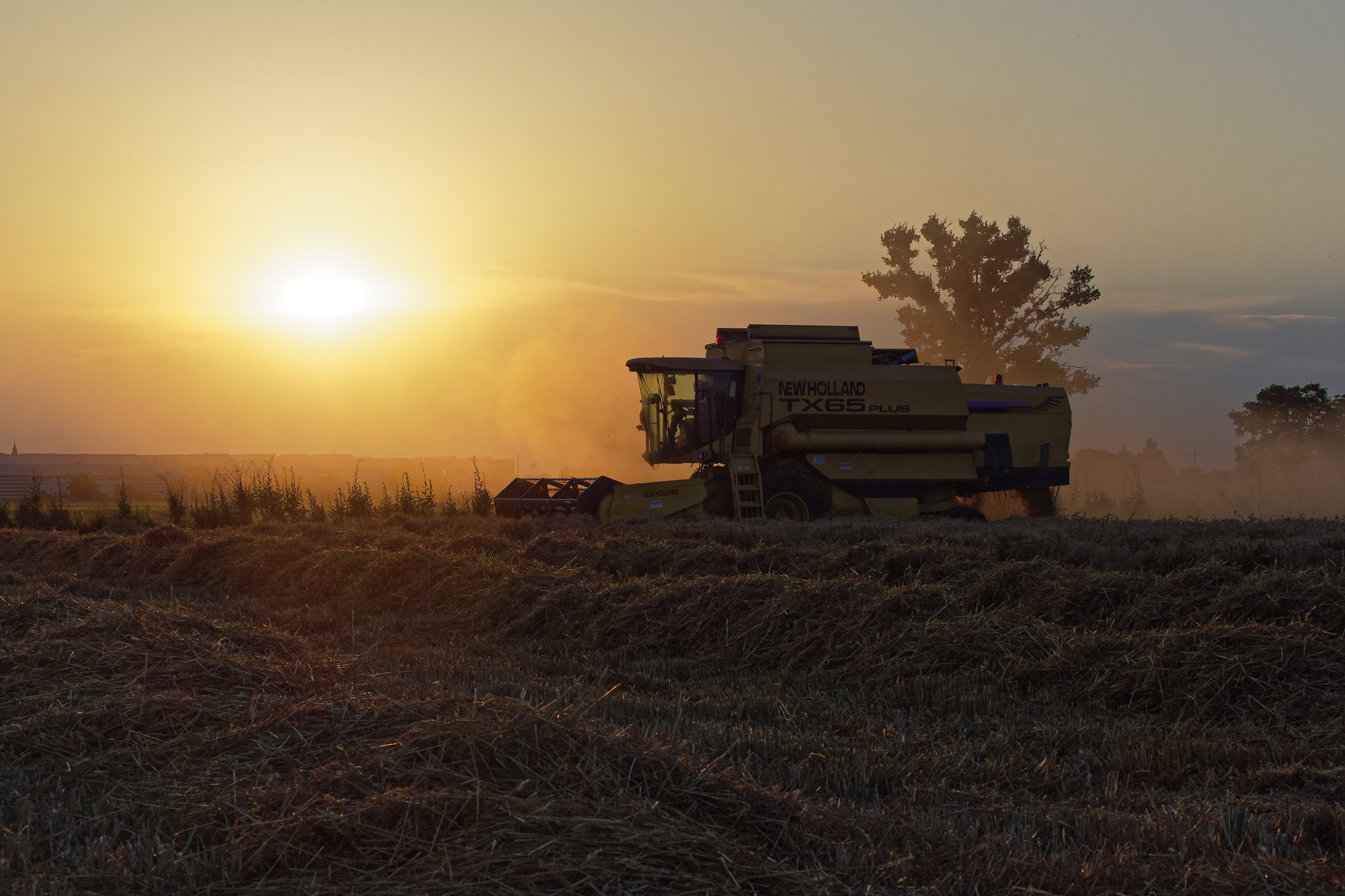 Threshing at sunset