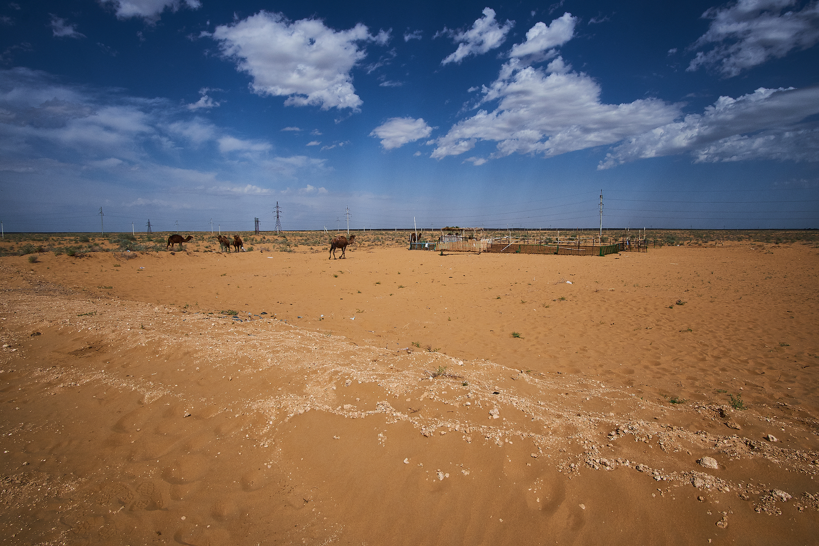 The Kizilkum Desert - Uzbekistan
