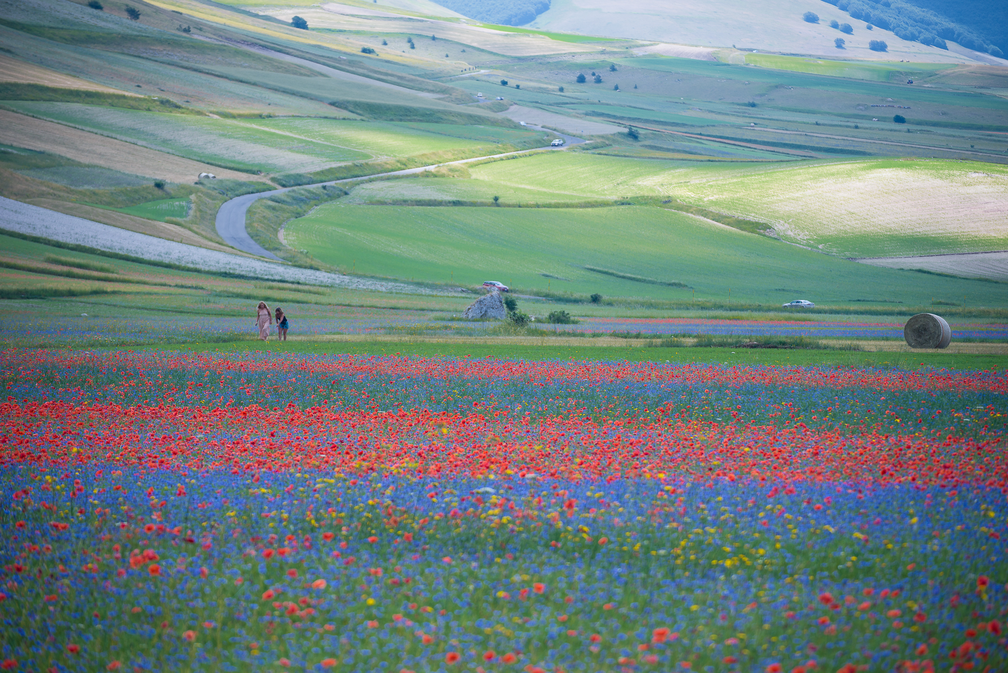 Castelluccio luglio 2019