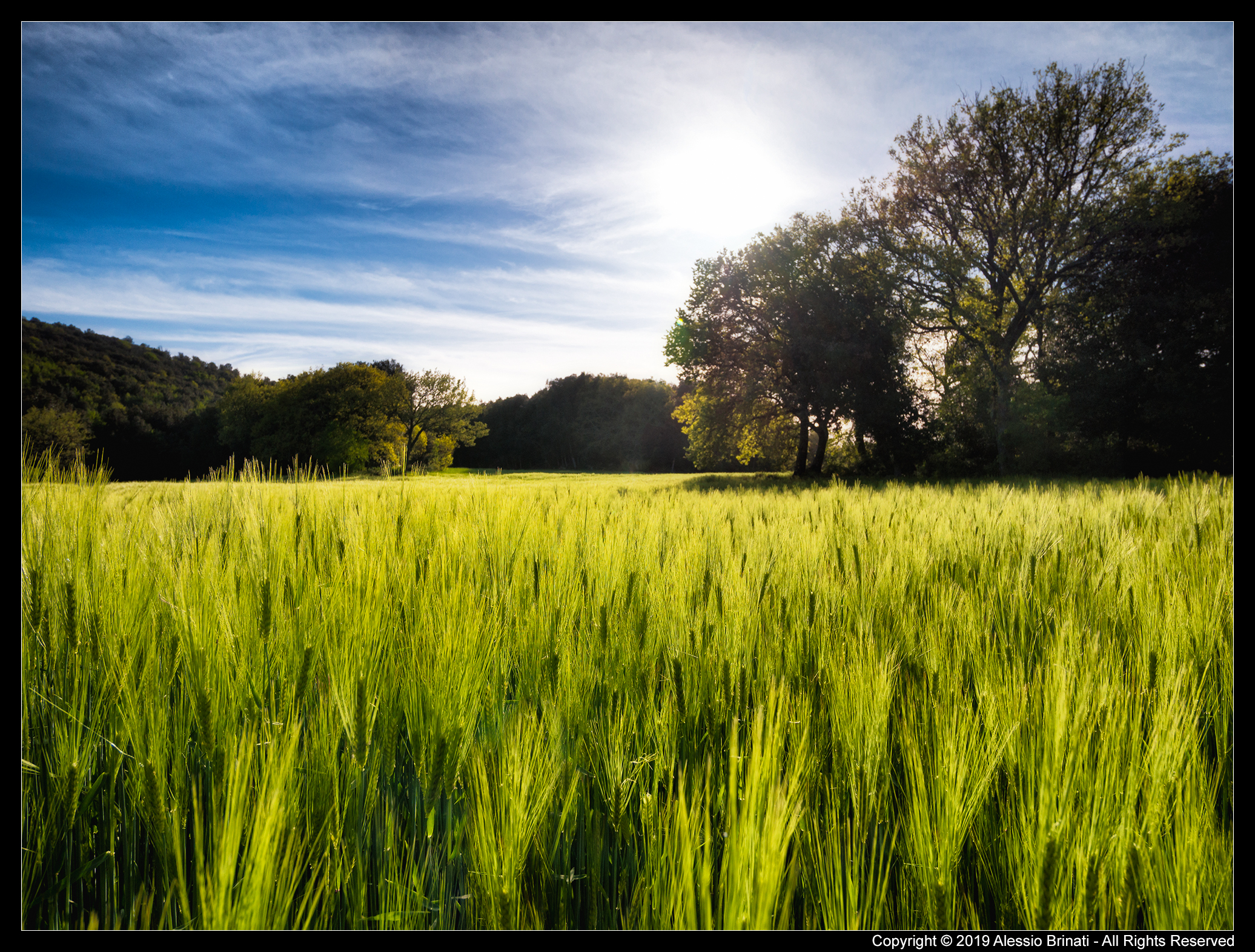 La campagna toscana....