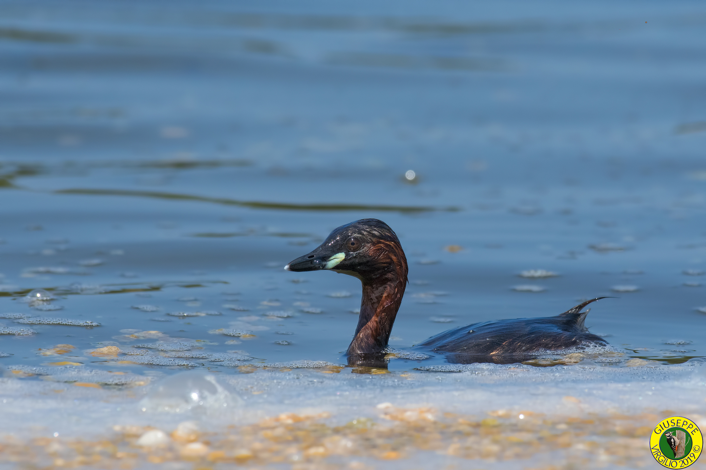 Tuffetto (Sardegna ) 2019