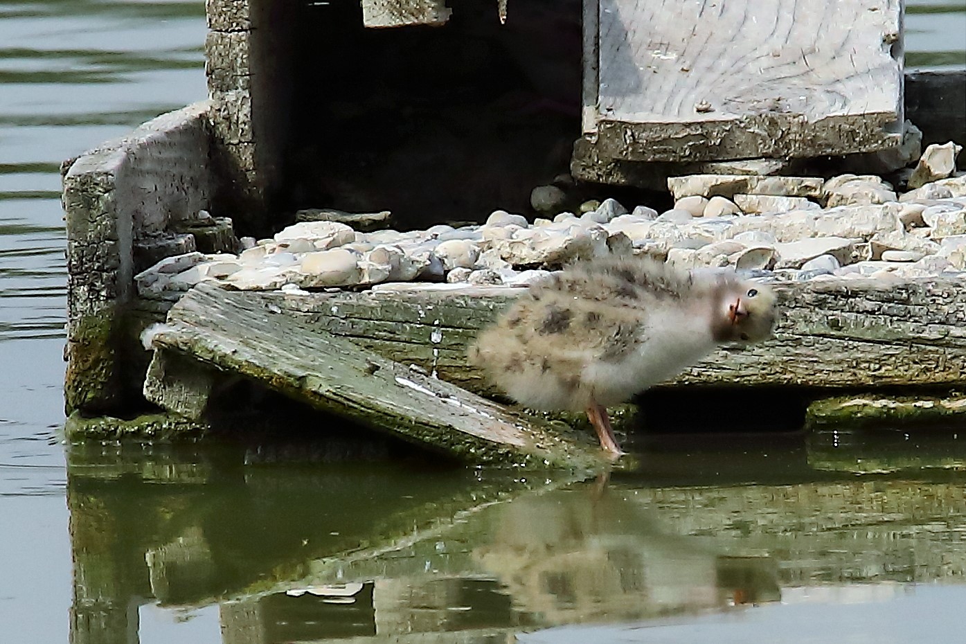 I have!!! How strange