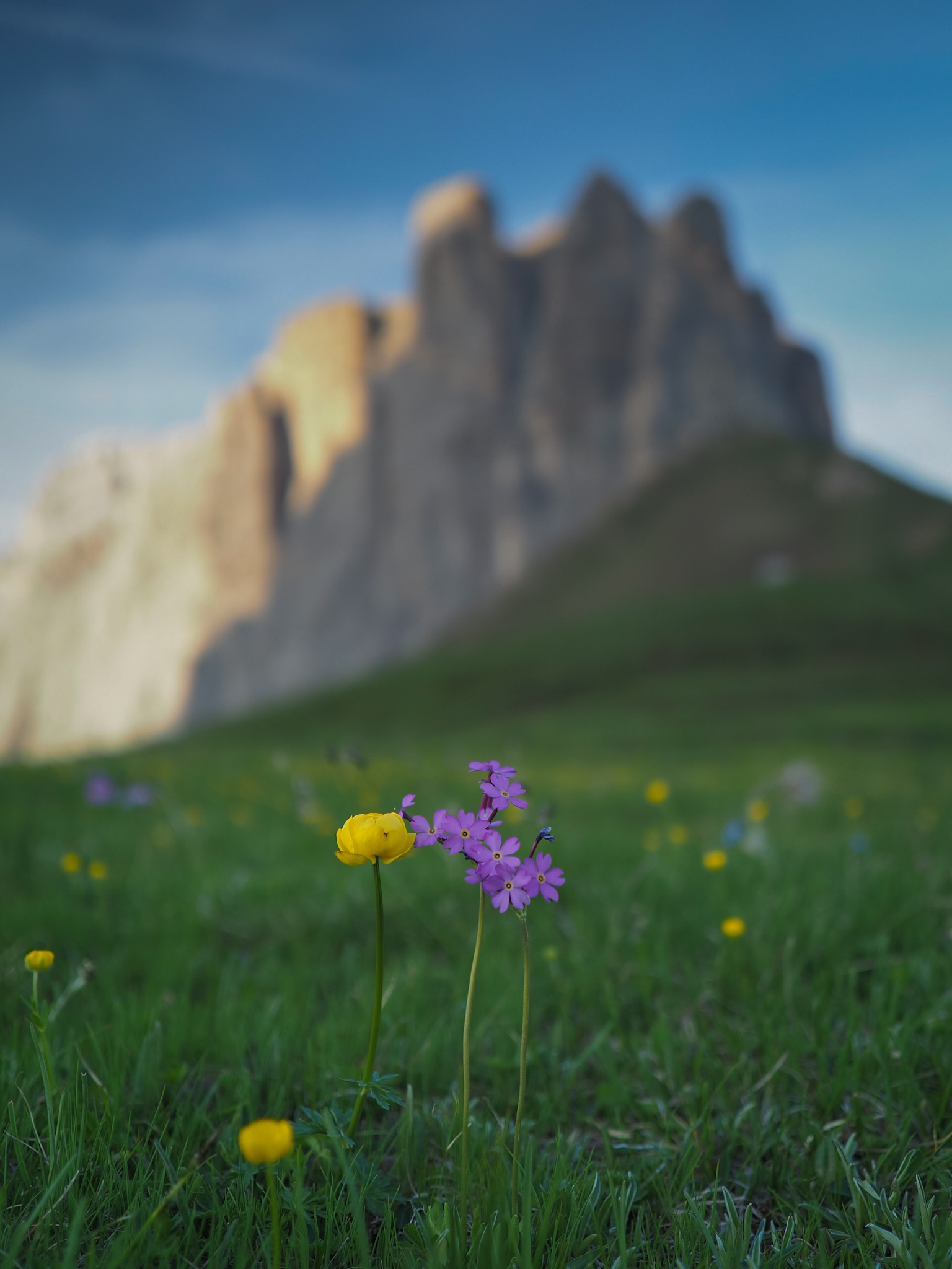 I pilastri della terra