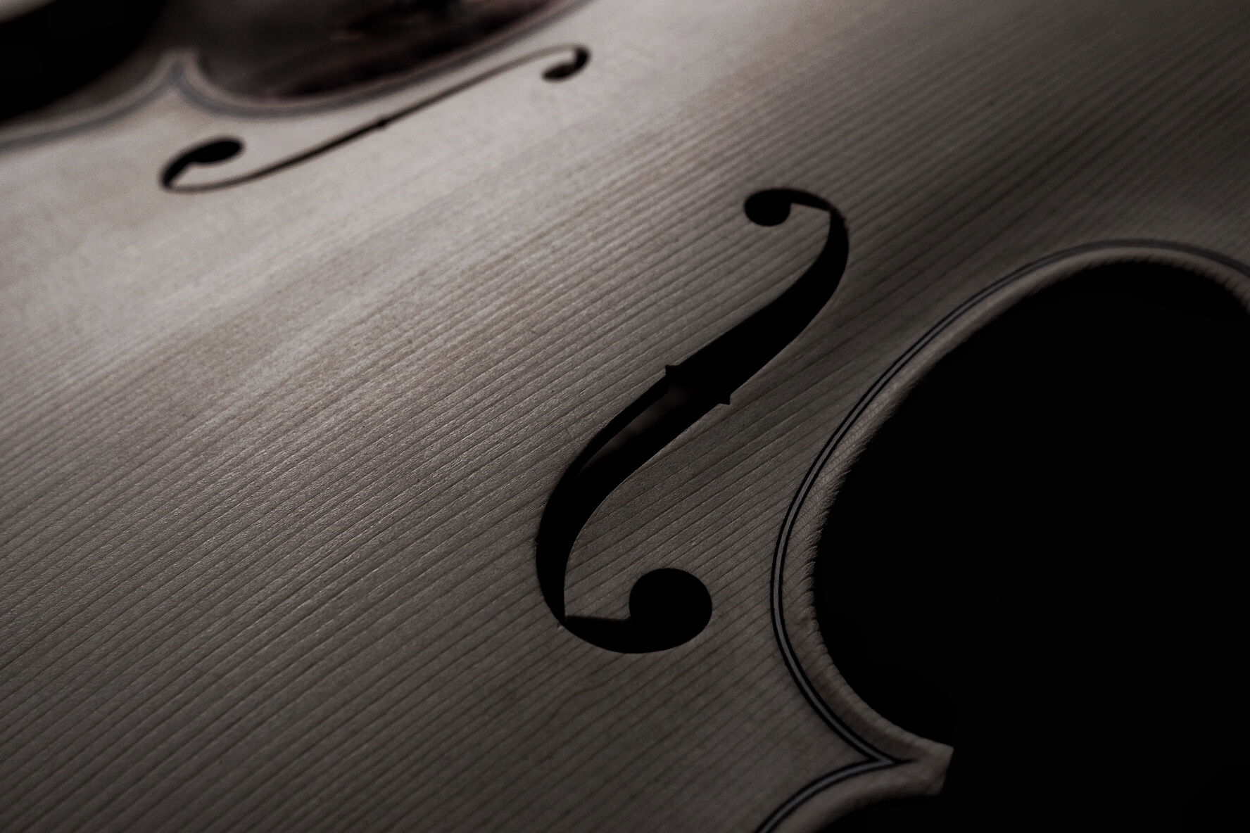 Detail of a violin