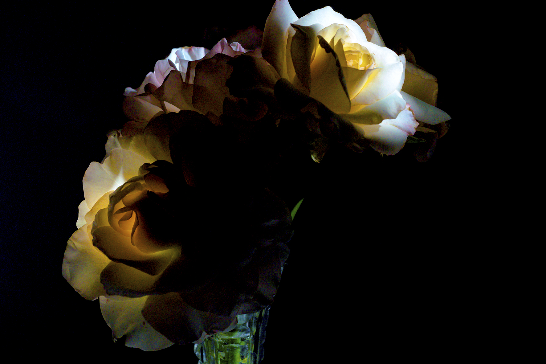 Twilight