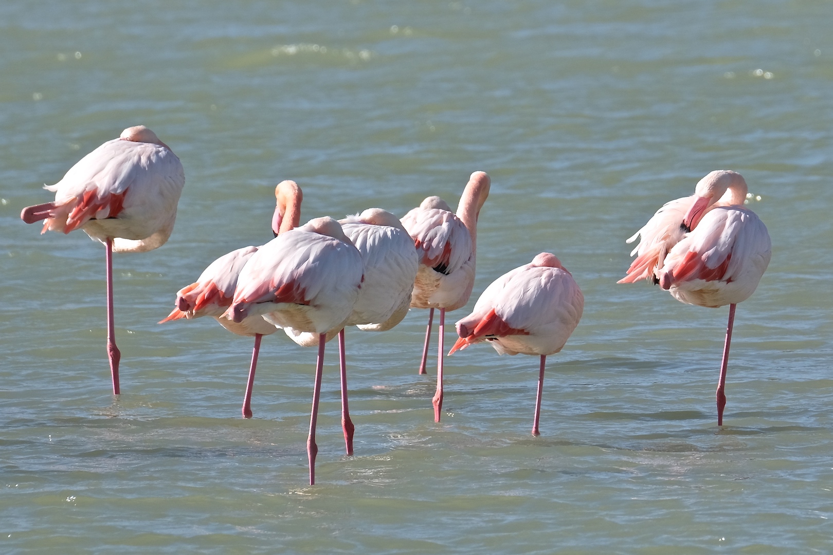 Saline Park - Cagliari