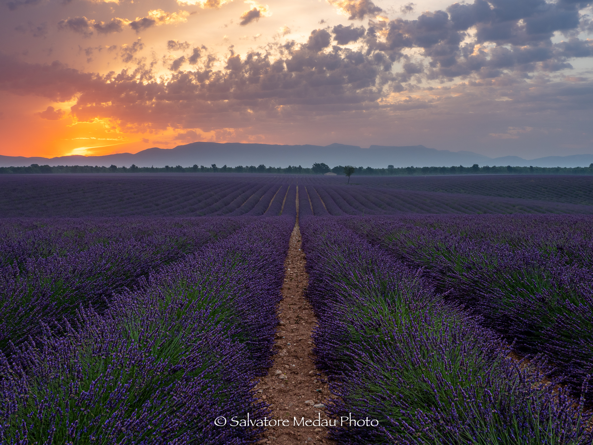 L'alba a Valensole