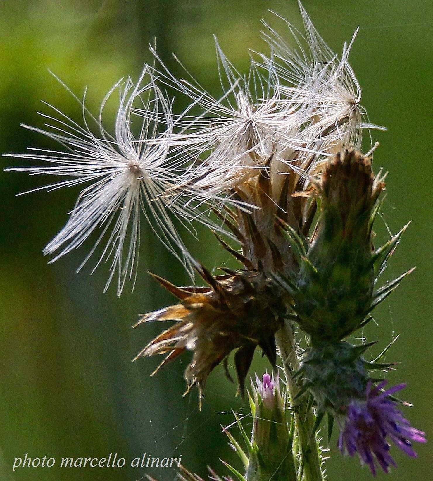 non importa essere belli, basta essere interessanti