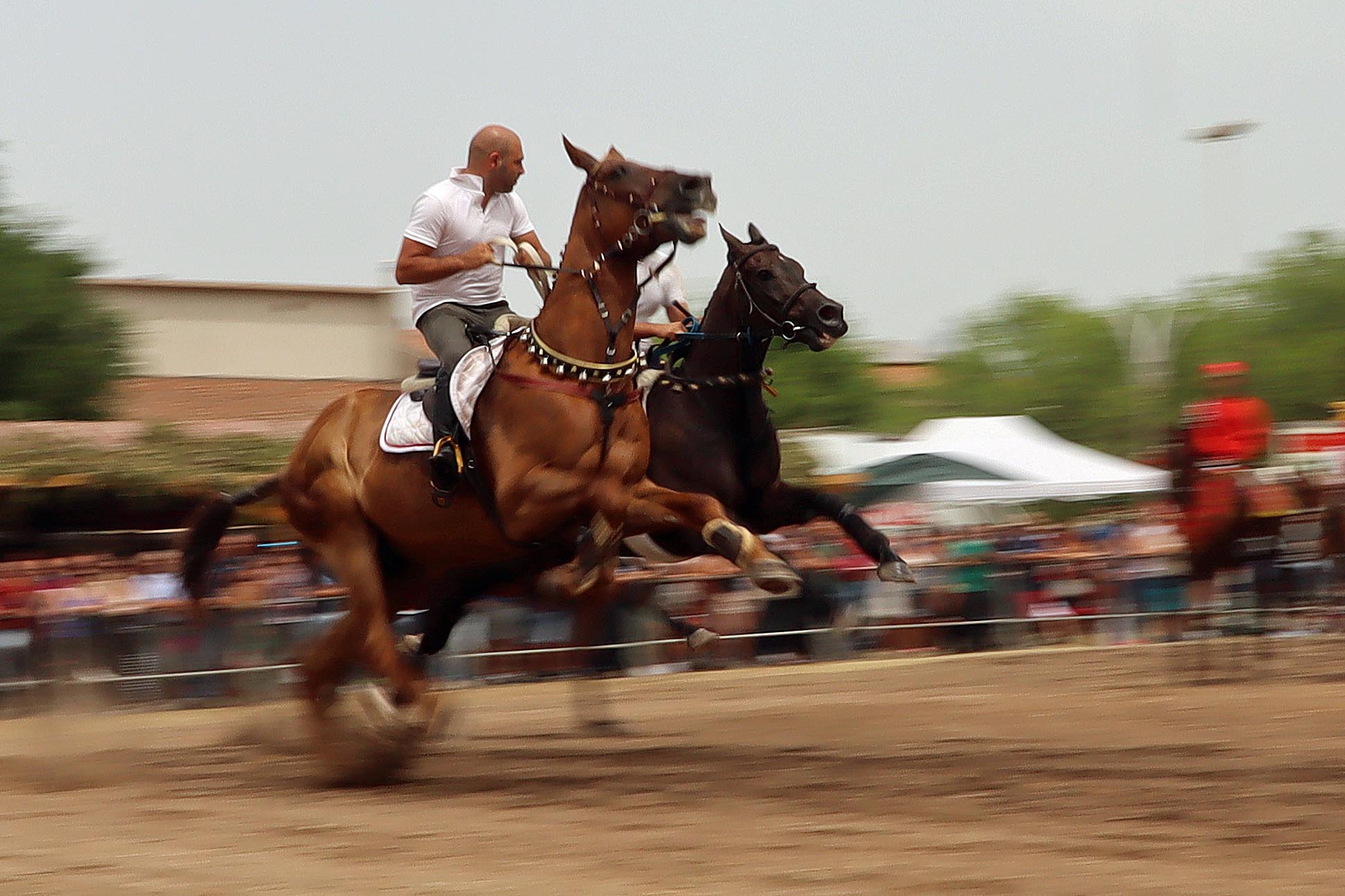 Ardua of St. Constantine