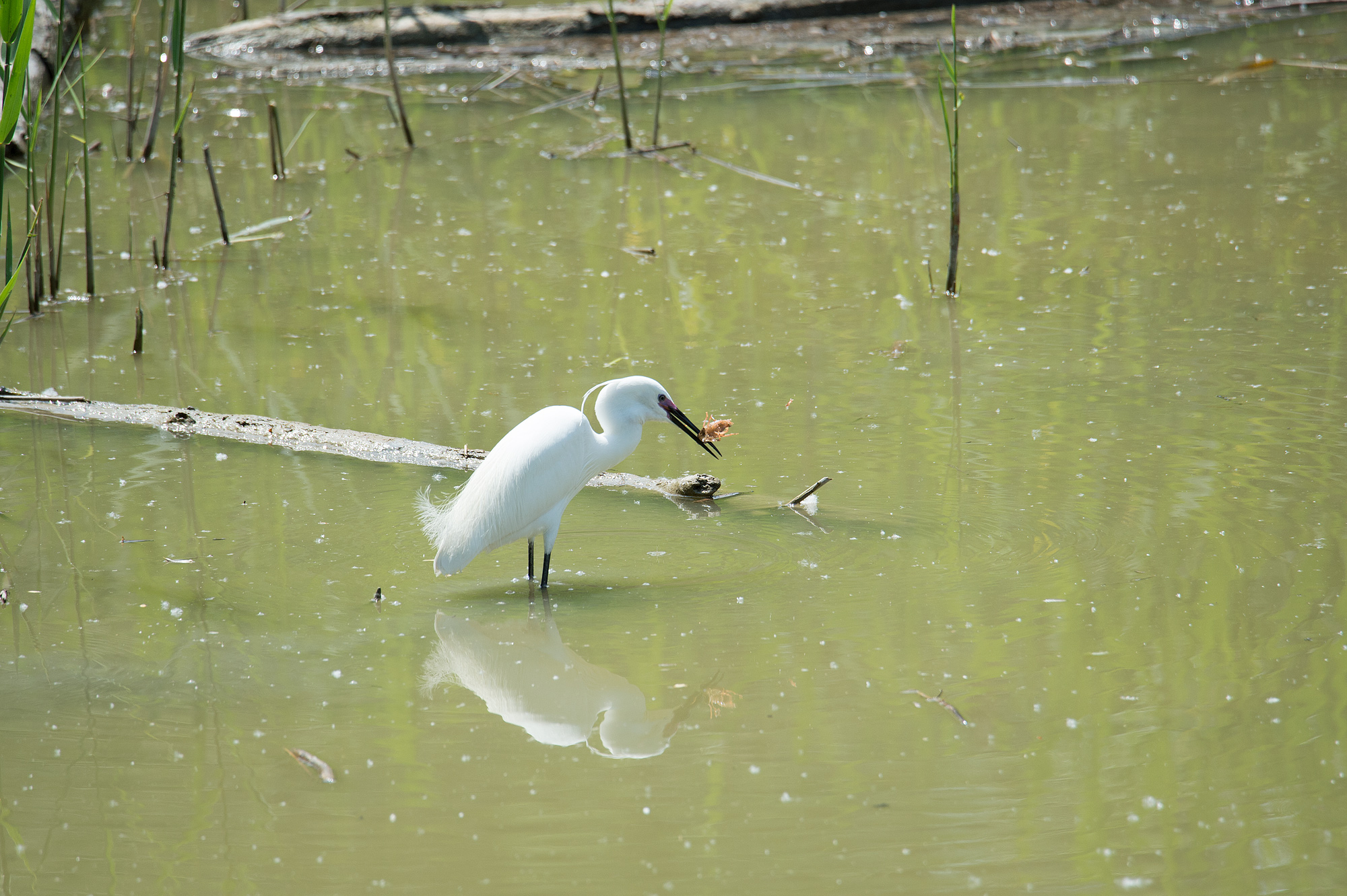 ... WHAT'S PLAYING AND WHO NO...