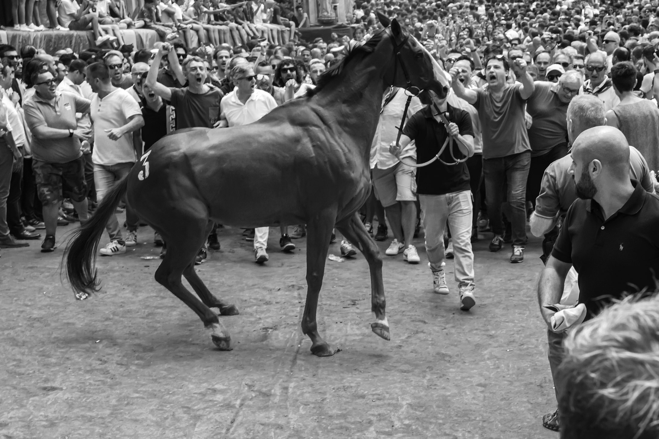 Palio di Siena ..... trafficking
