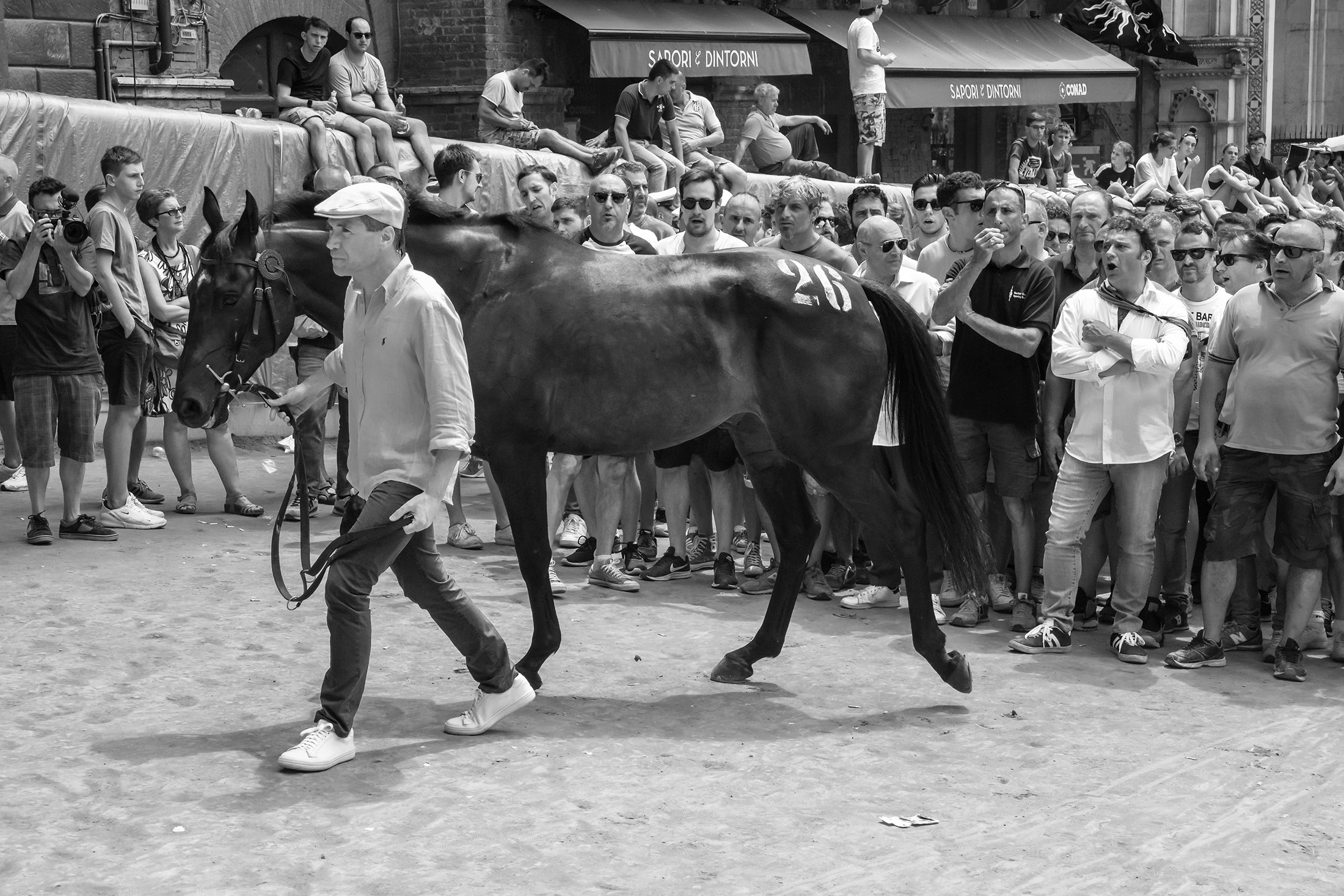 Palio di Siena la tratta