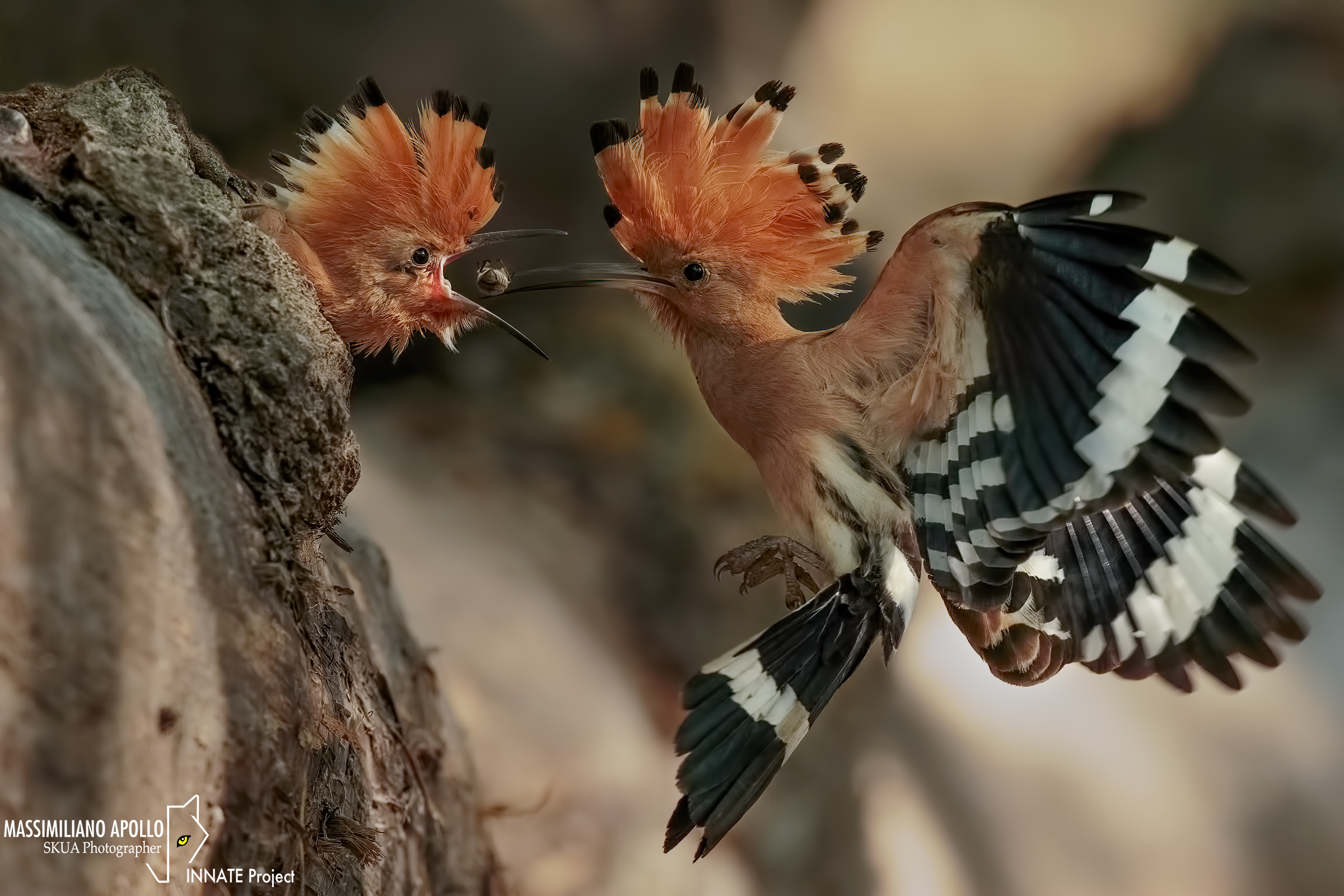 il momento che più aspettavo...
