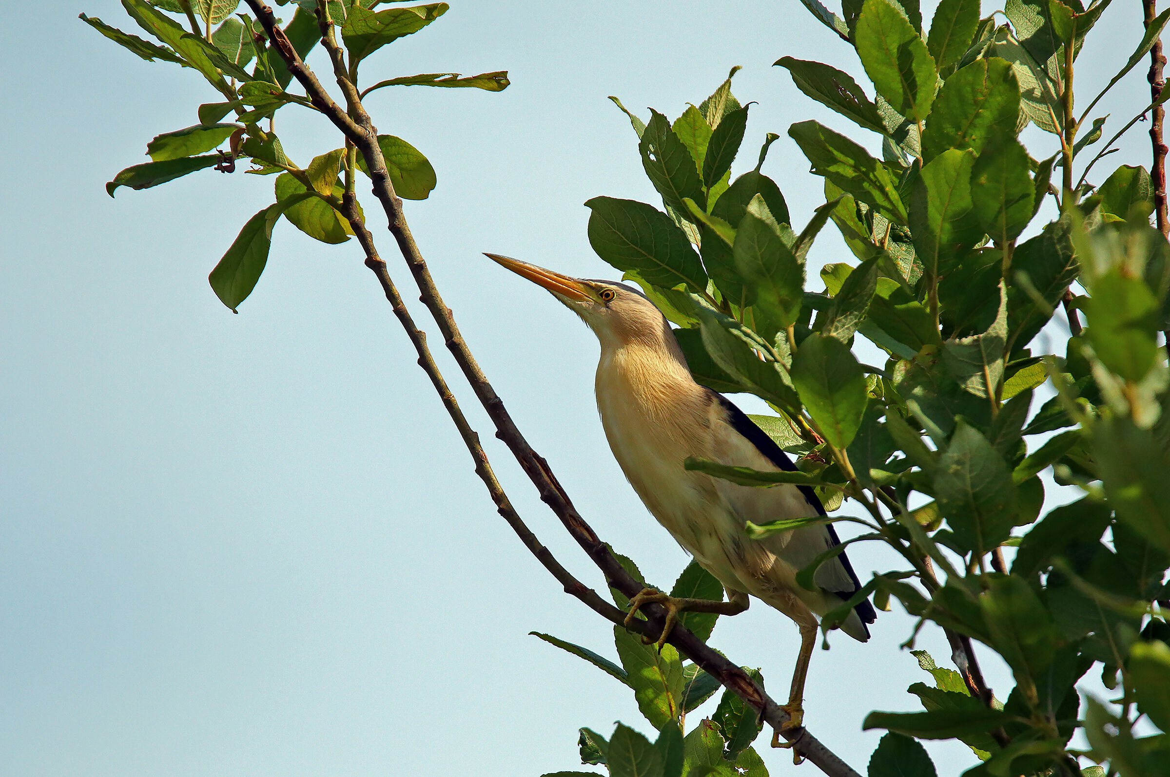 what are you doing there