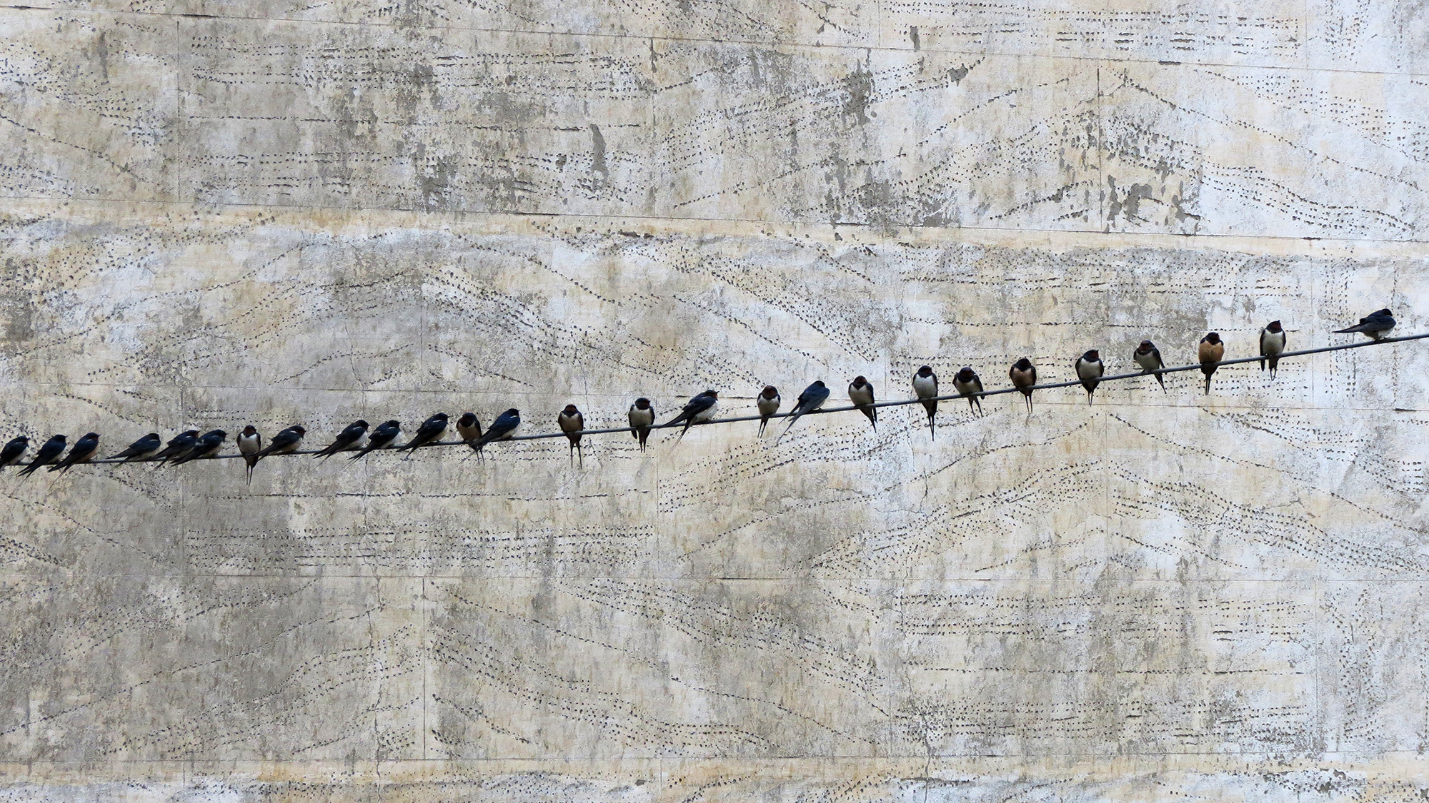 A swallow doesn't make spring...