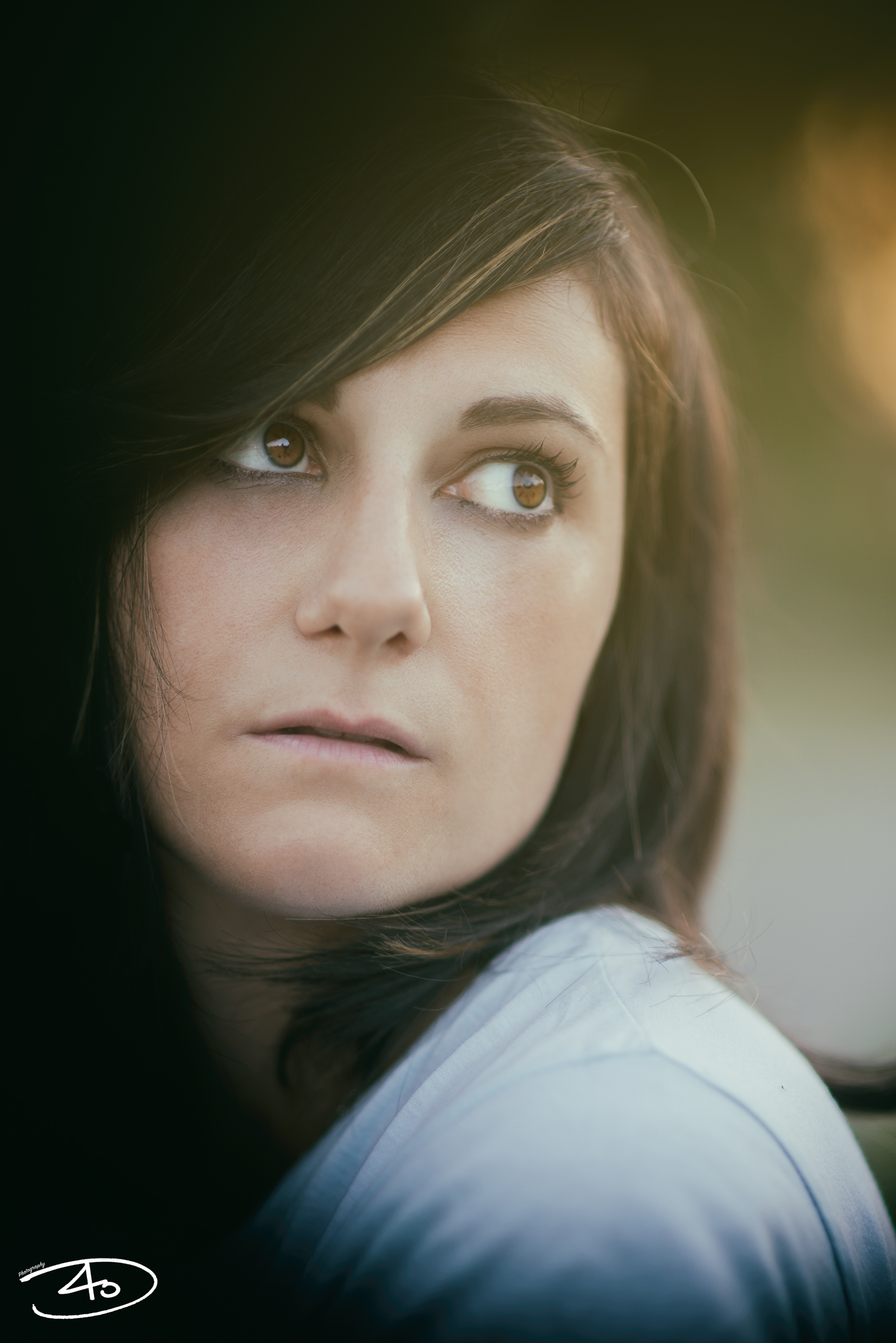 Dall'Ombra alla Luce