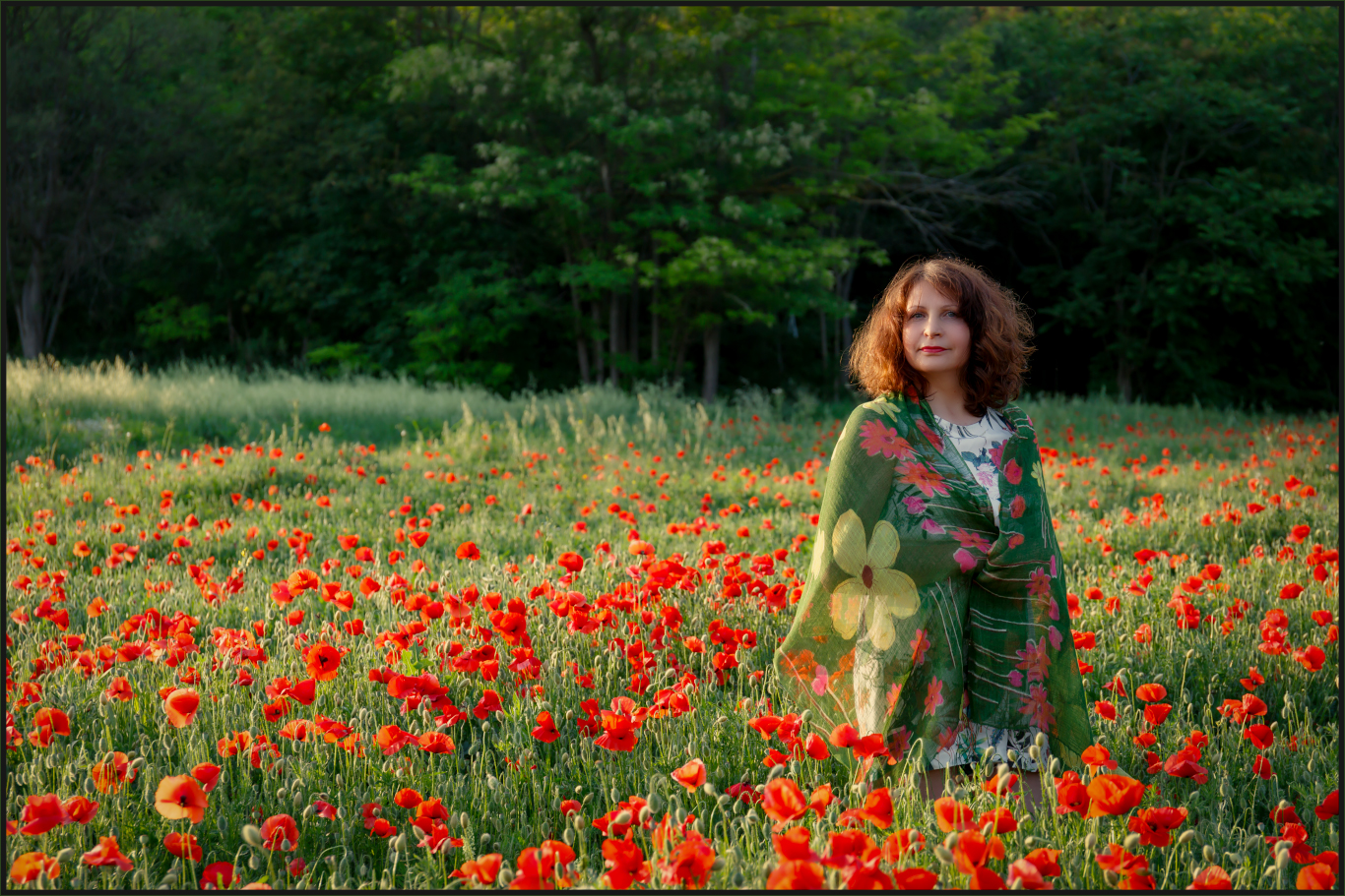 In campo di papaveri