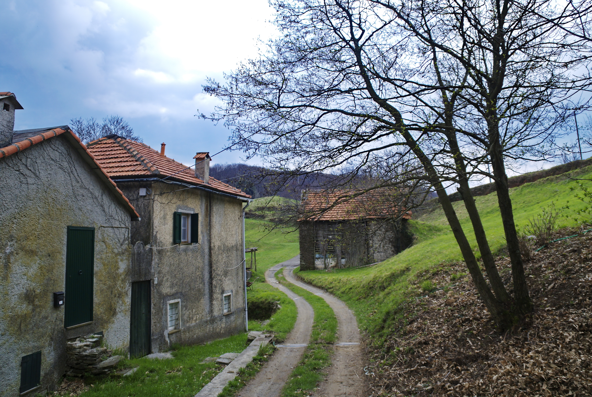 Walking in the countryside