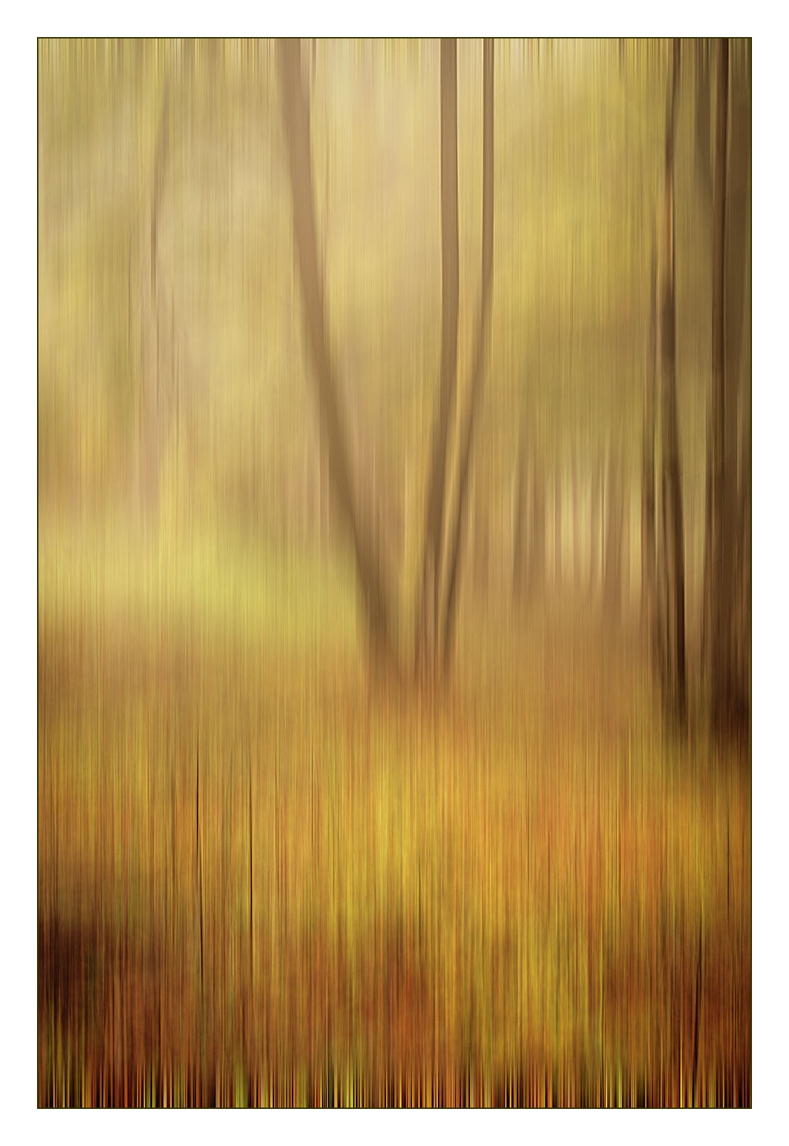 impressioni di novembre