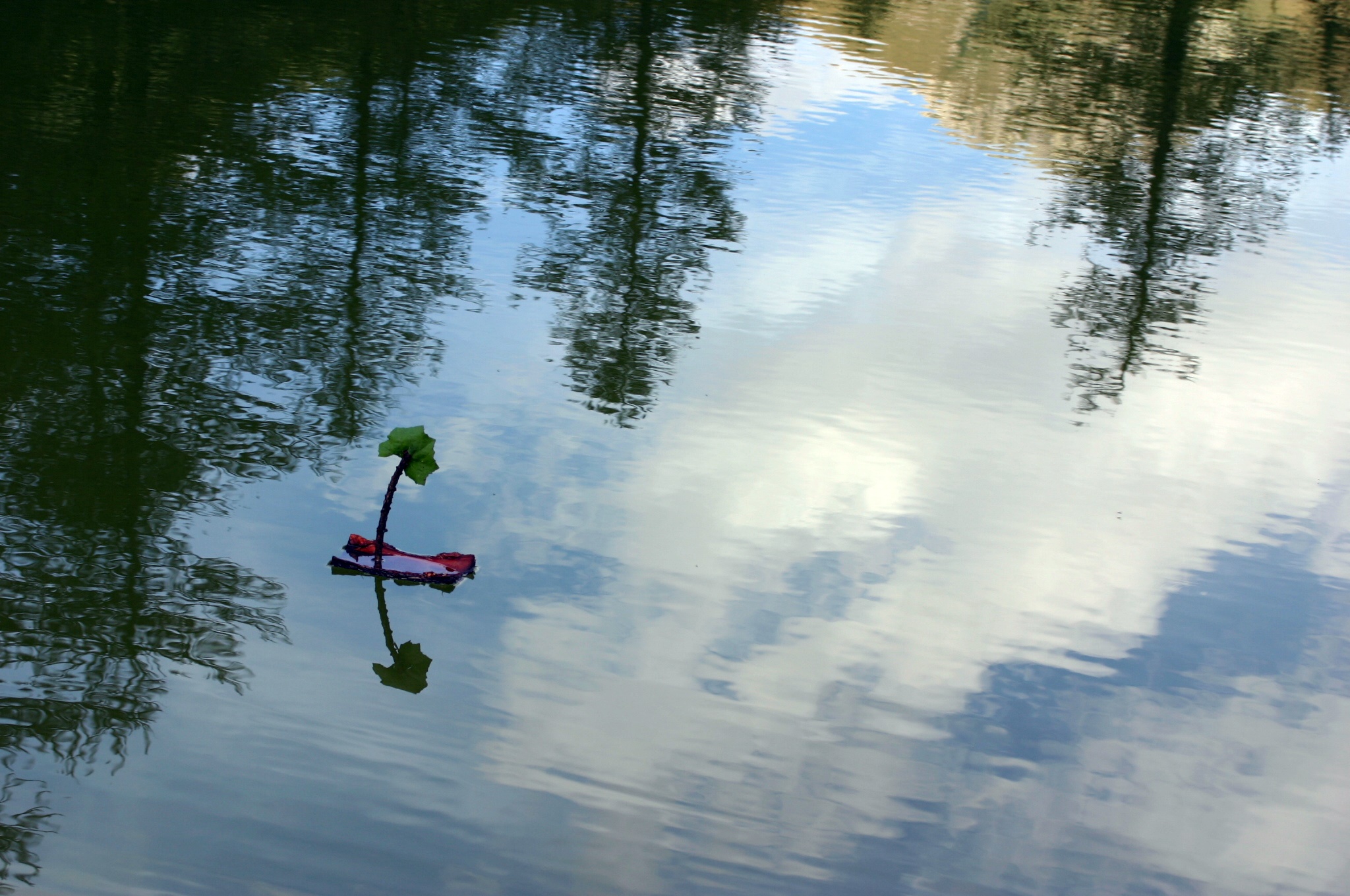 Barchetta fatta da Simone al Lago Resile