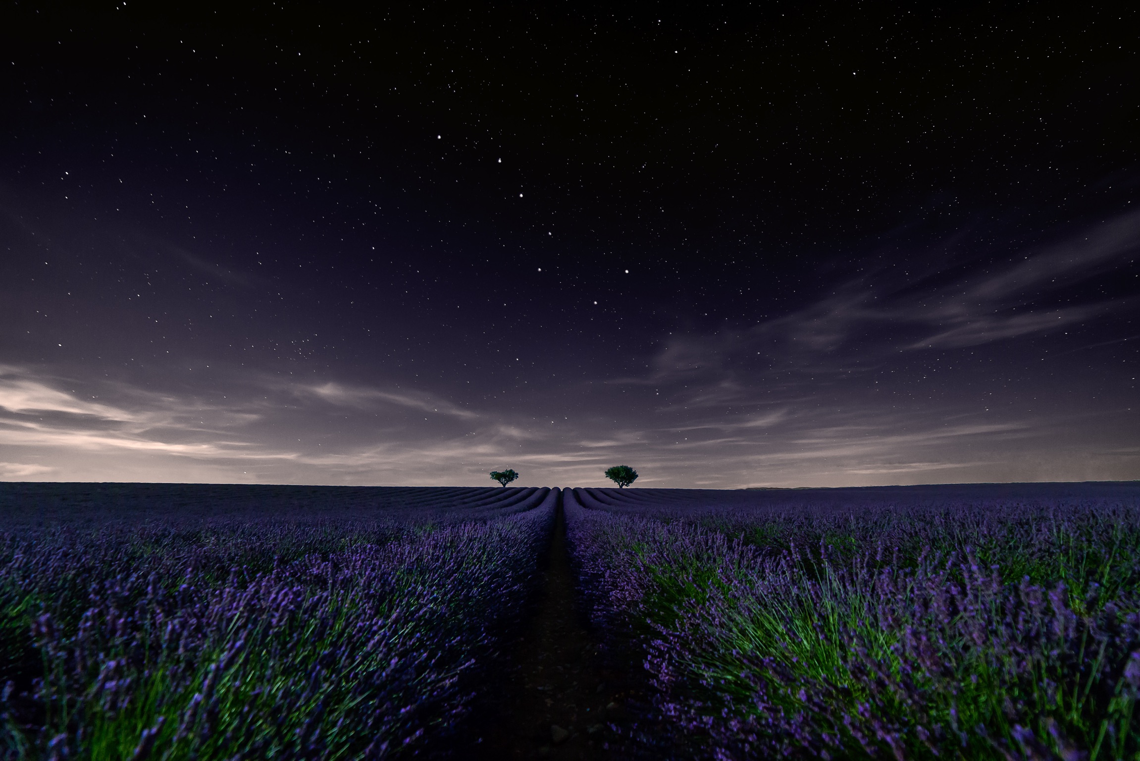 A Sky over the violet