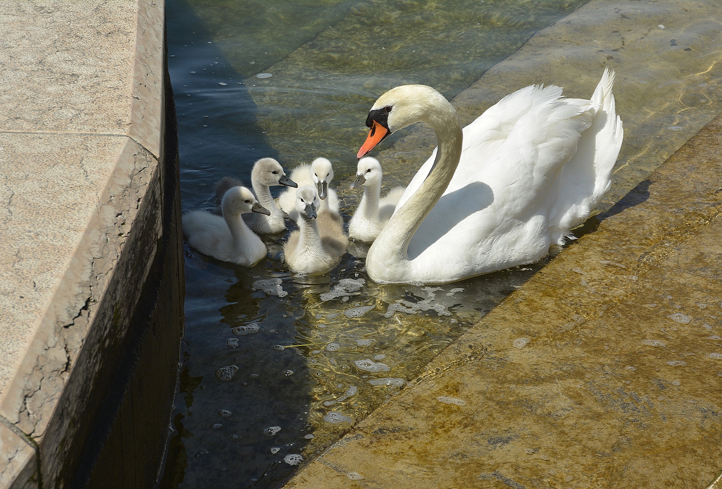 ...beh ragazzi, che si fa ?