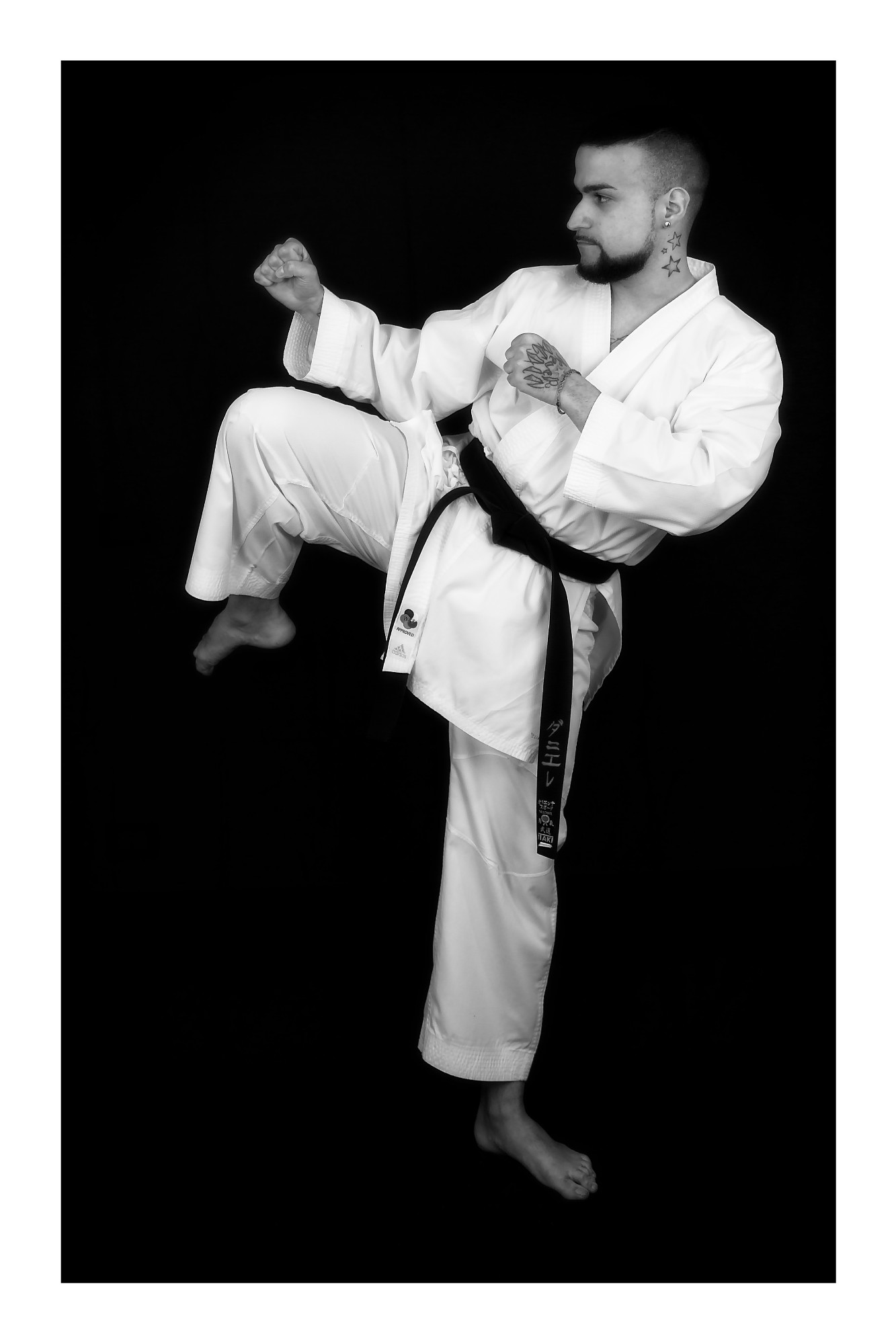 Karate fighter