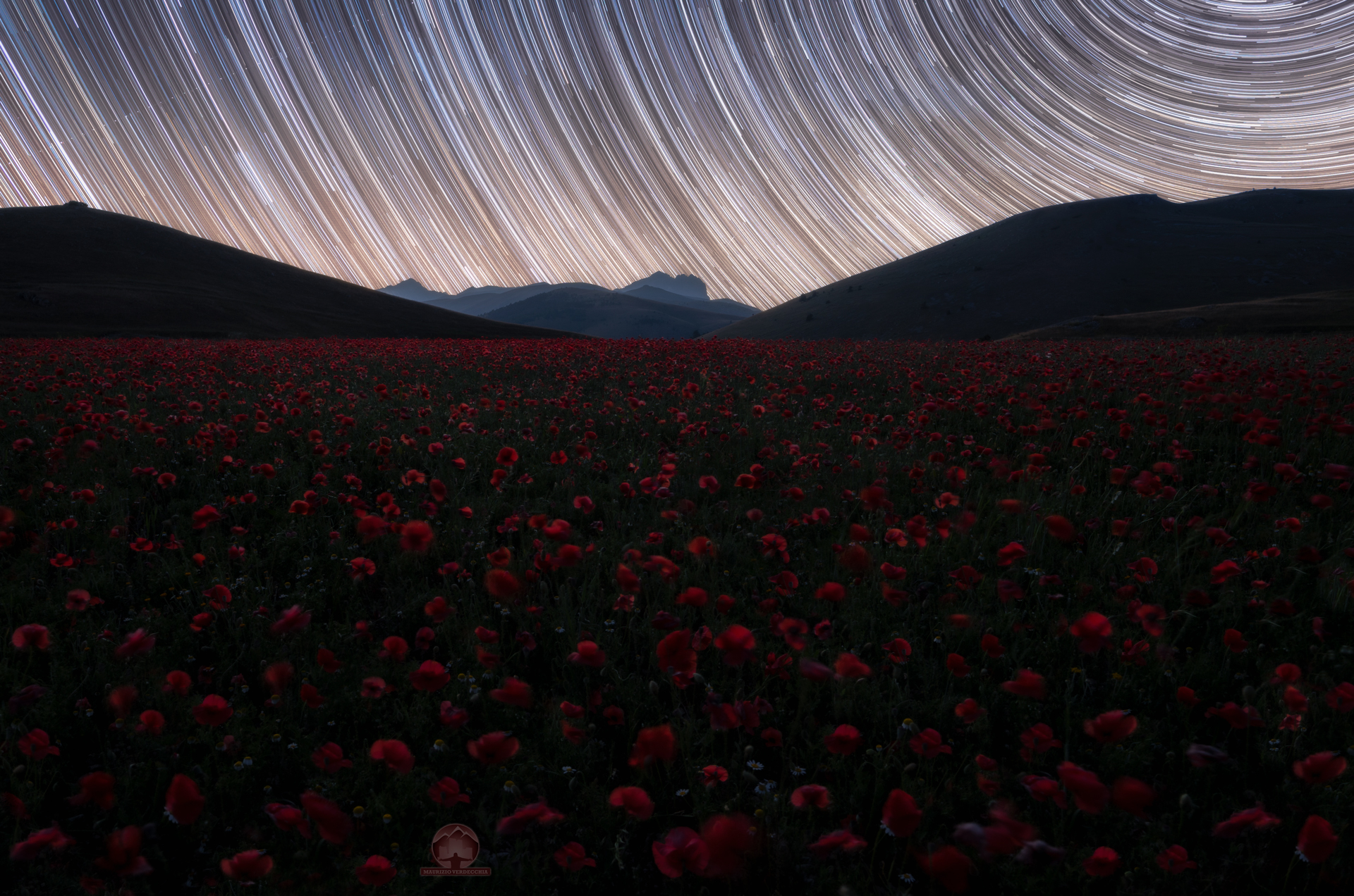 Flowers and stars - Abruzzo