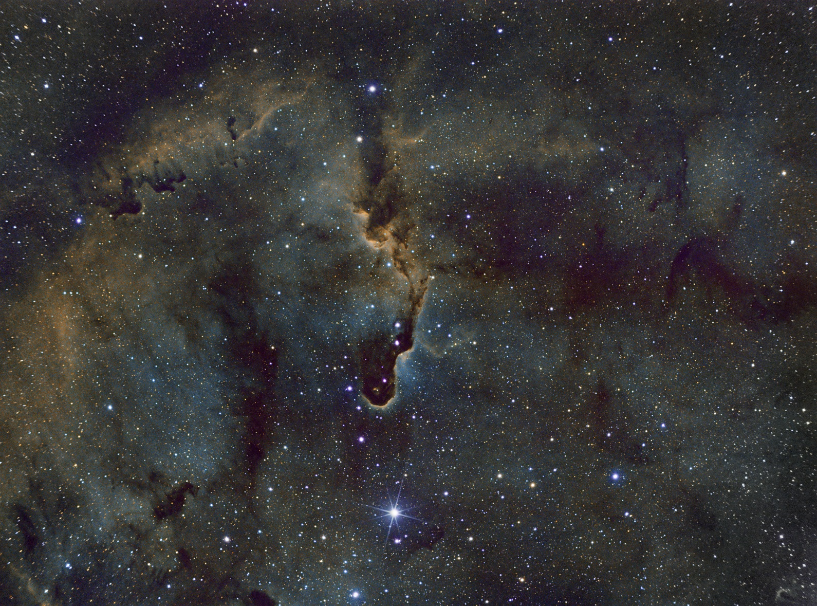Elephant's Trunk Nebula