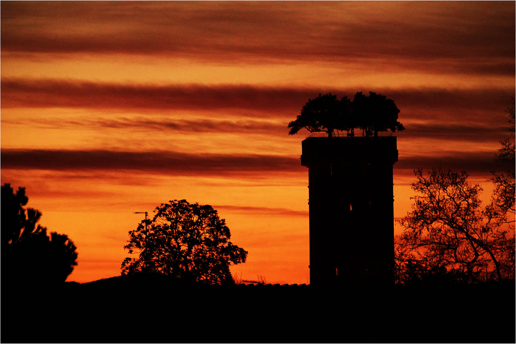 Profili inconfondibili.