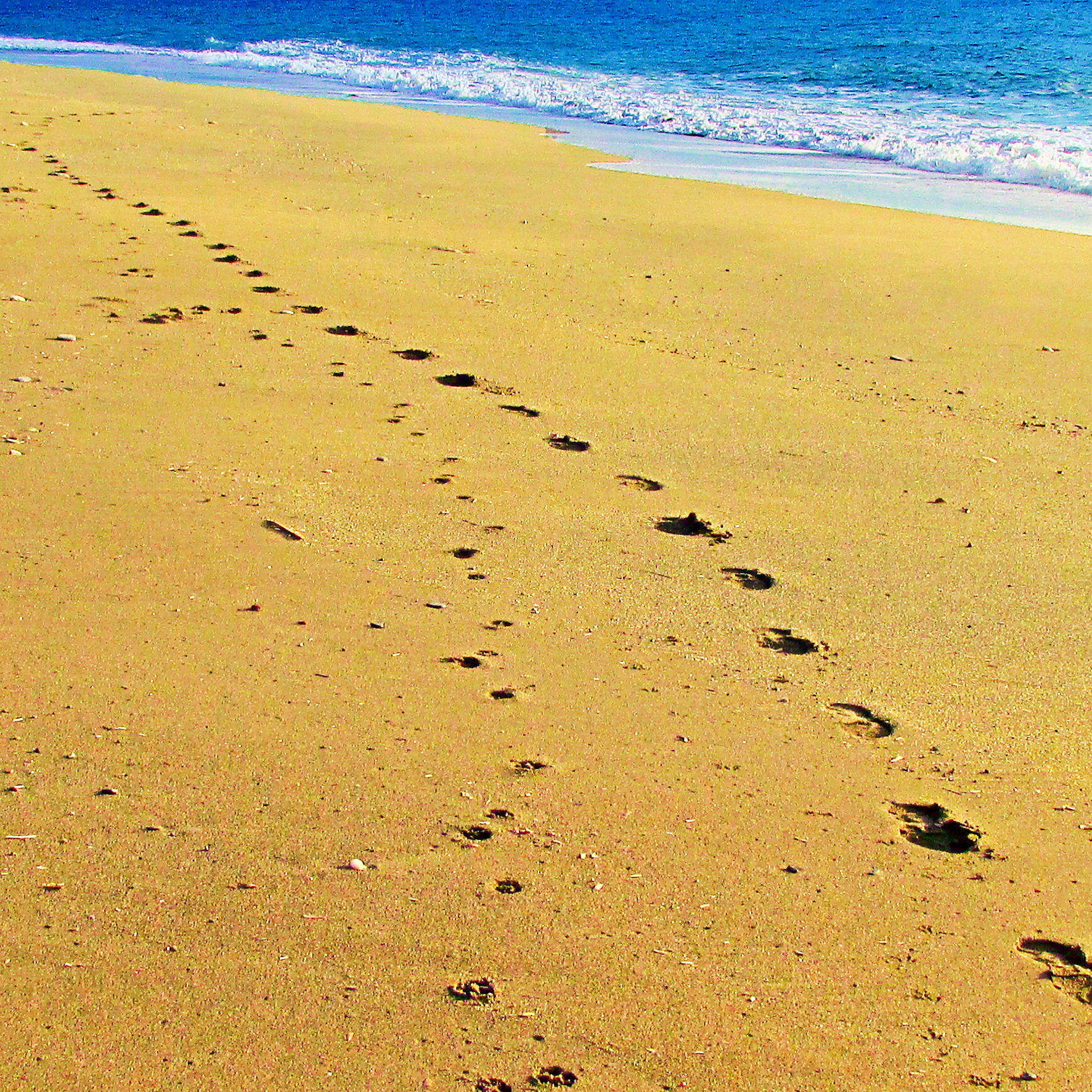 An ancient friendship