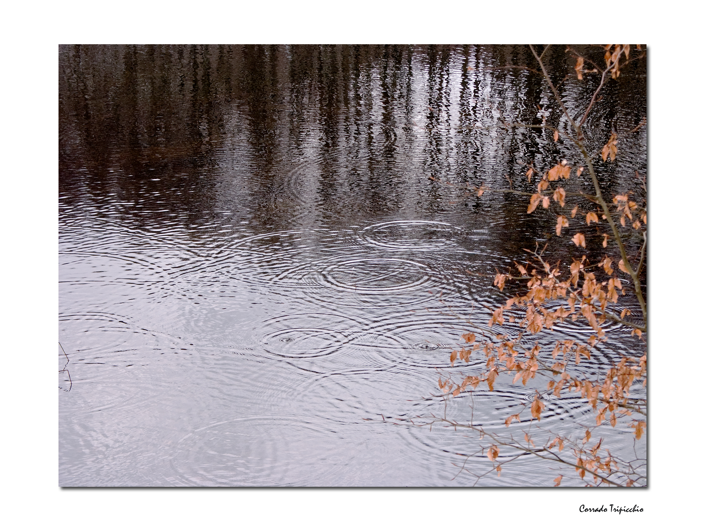 Ripples on a pond