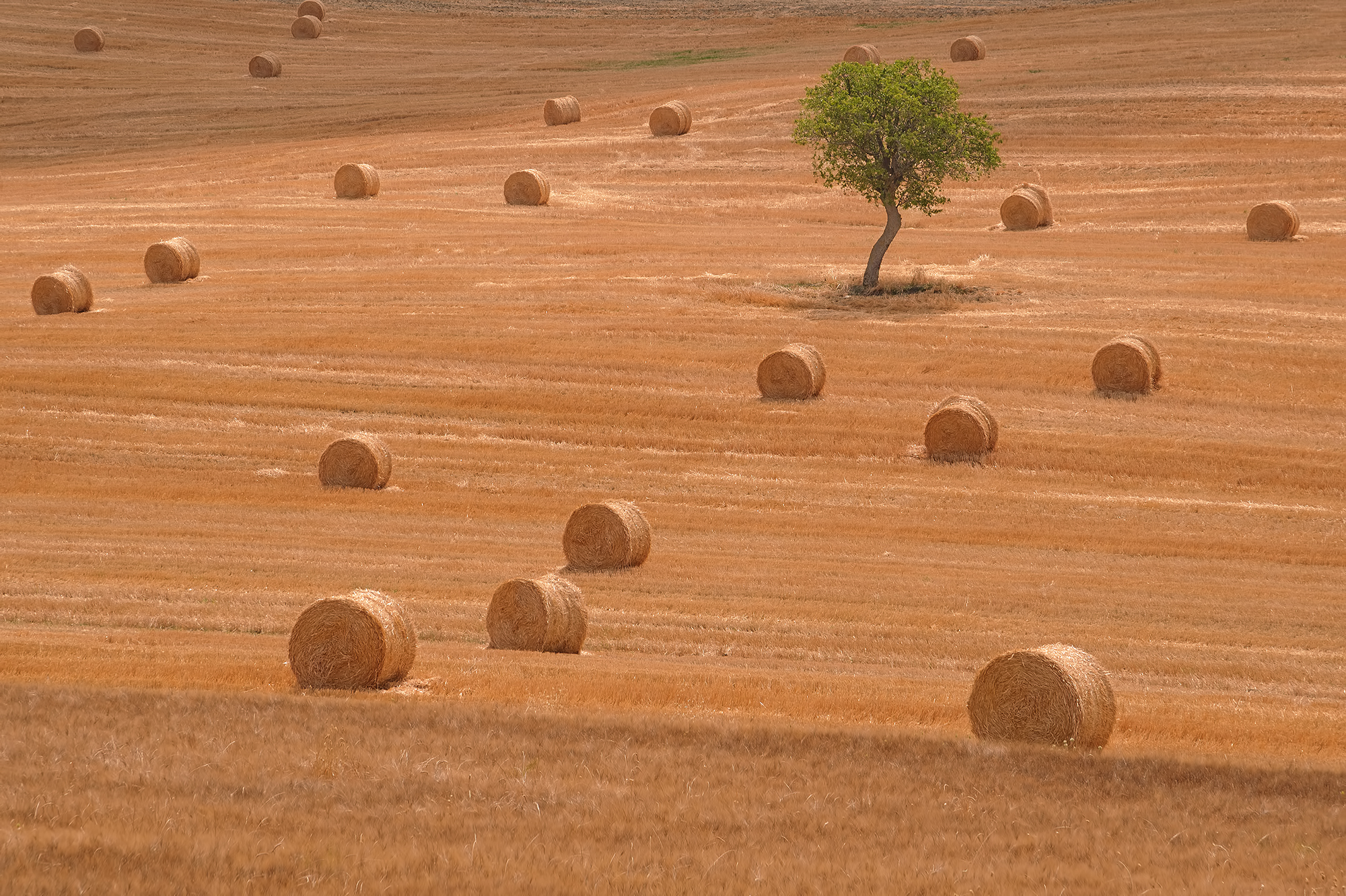 Toscana -Val d'Orcia.