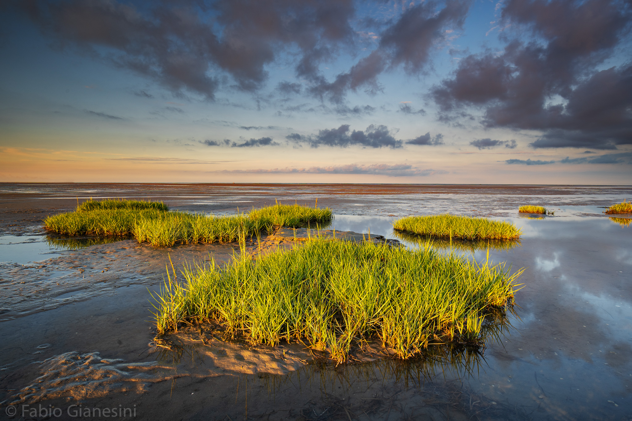 Laguna di Grado