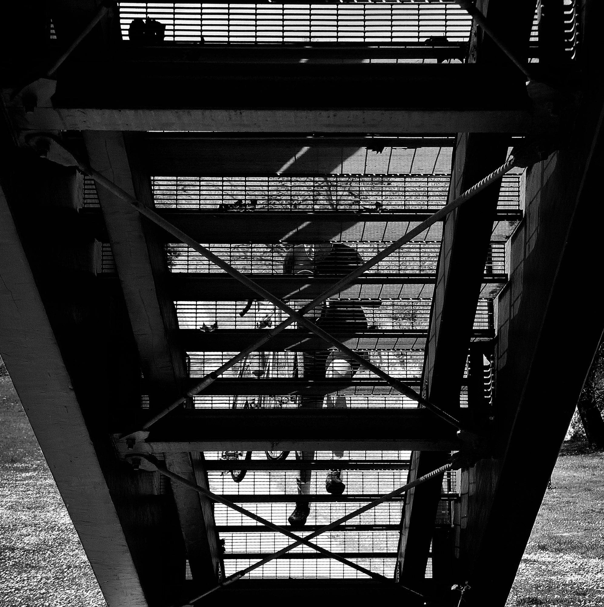 L'hai voluta la bicicletta?