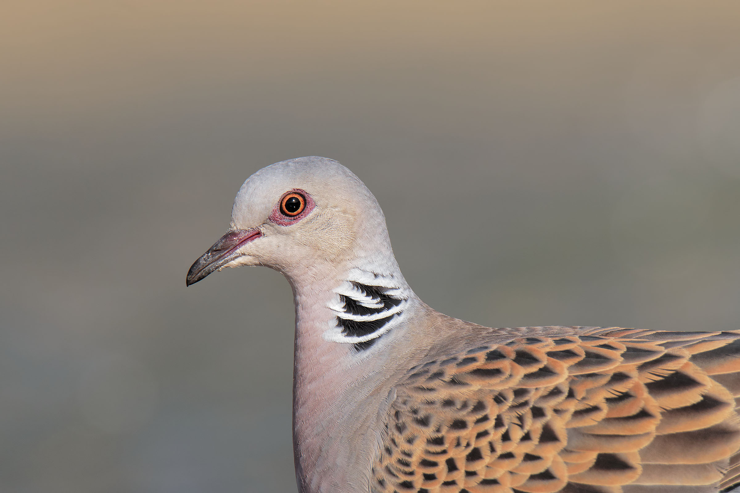 Just the time of a cross of looks!!!!