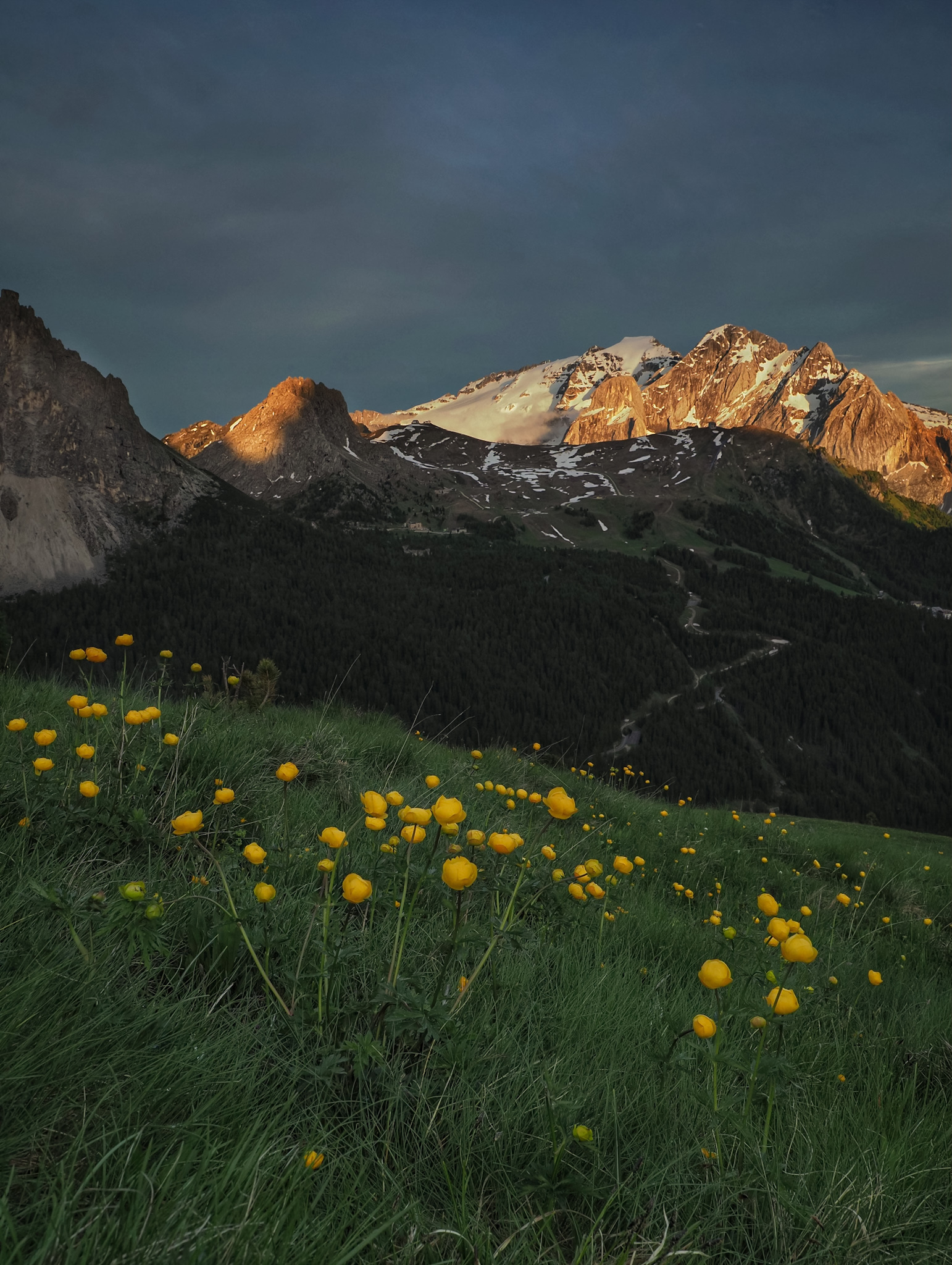 Flowers for the Queen