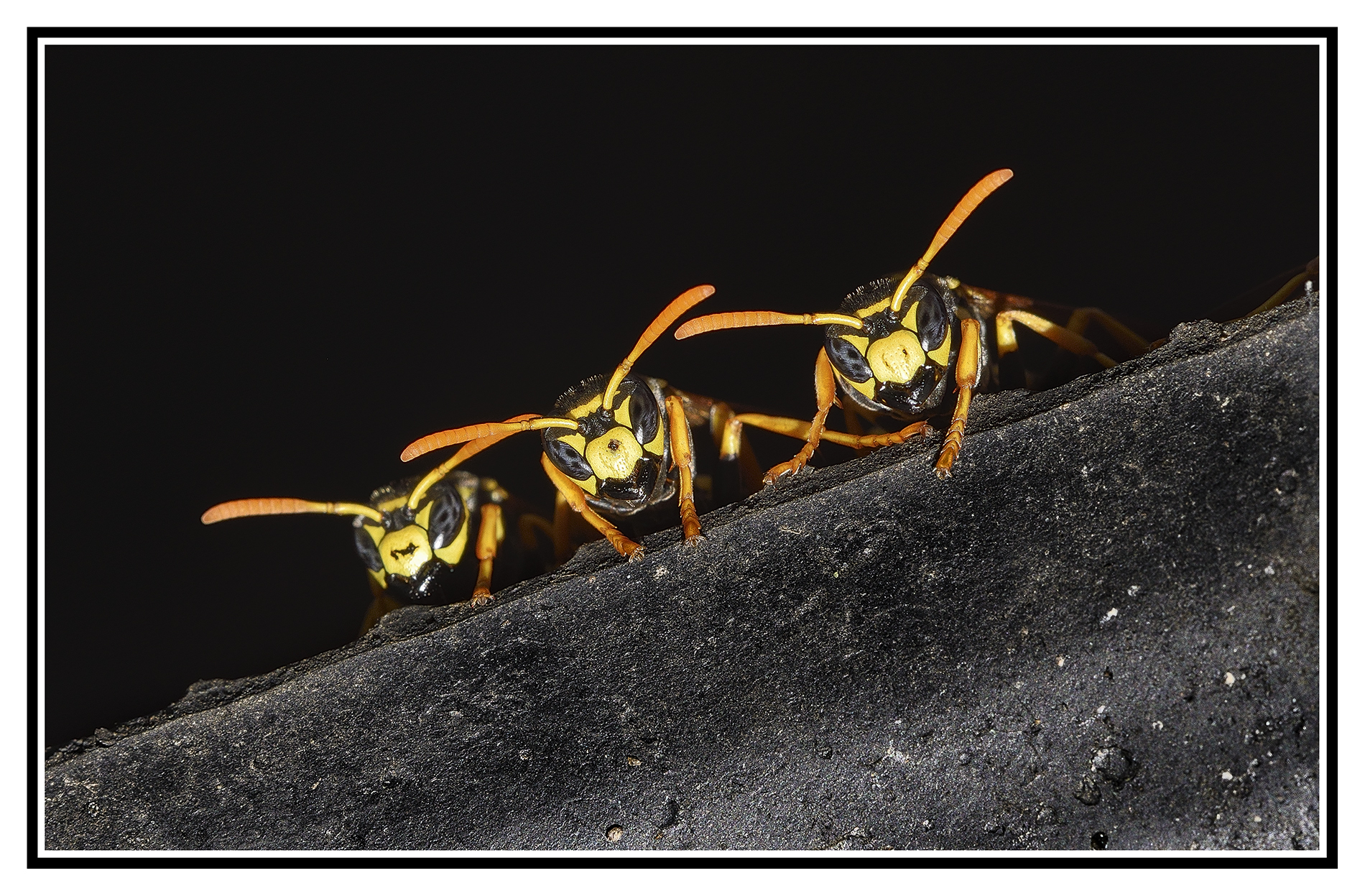 watch out for those three