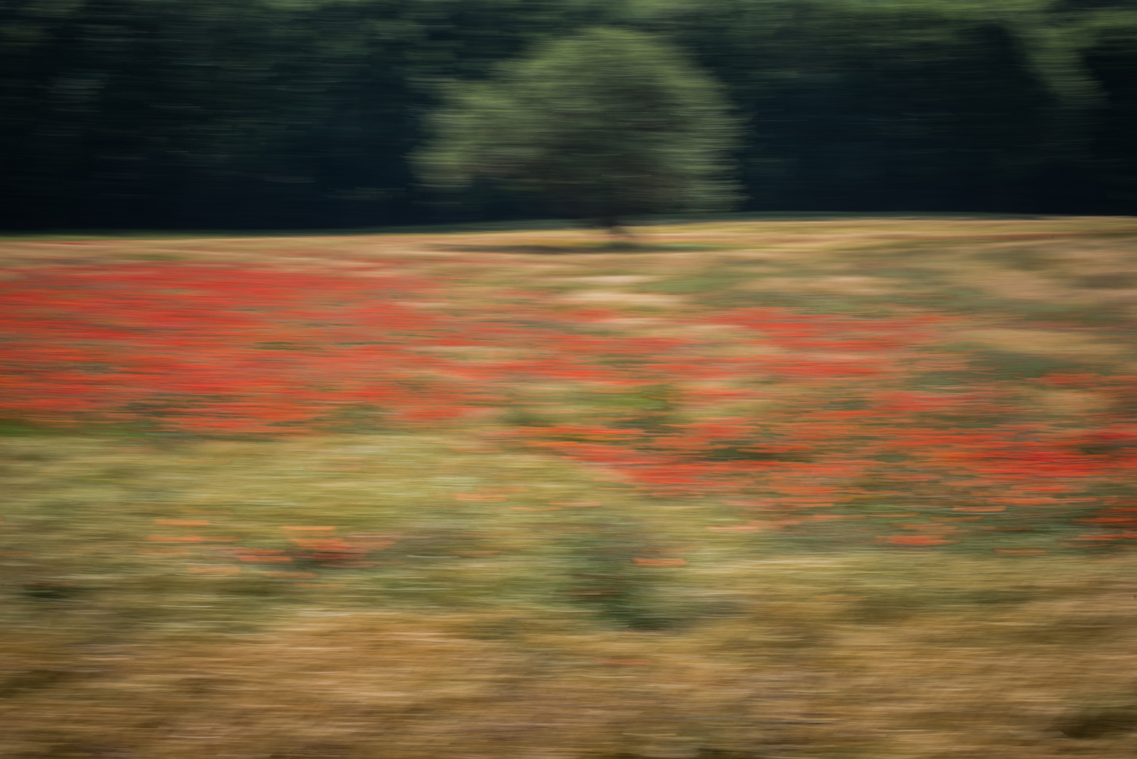 Summer is a Red Wave
