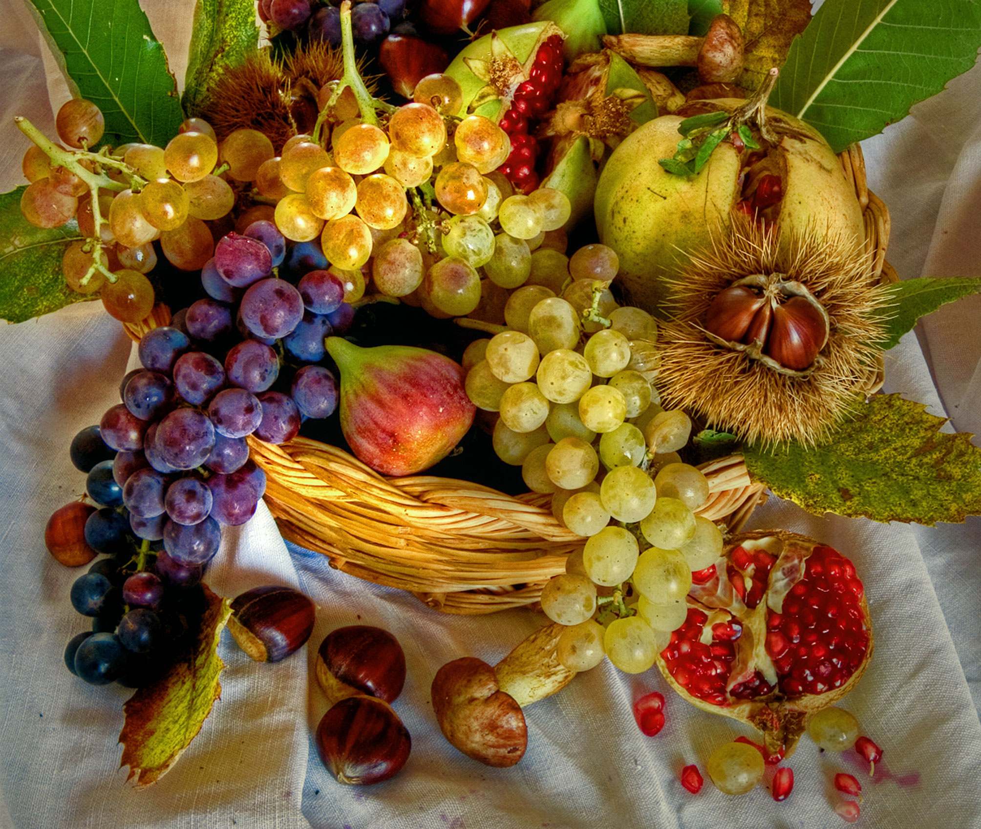 Nature mota with seasonal fruits-Autumn