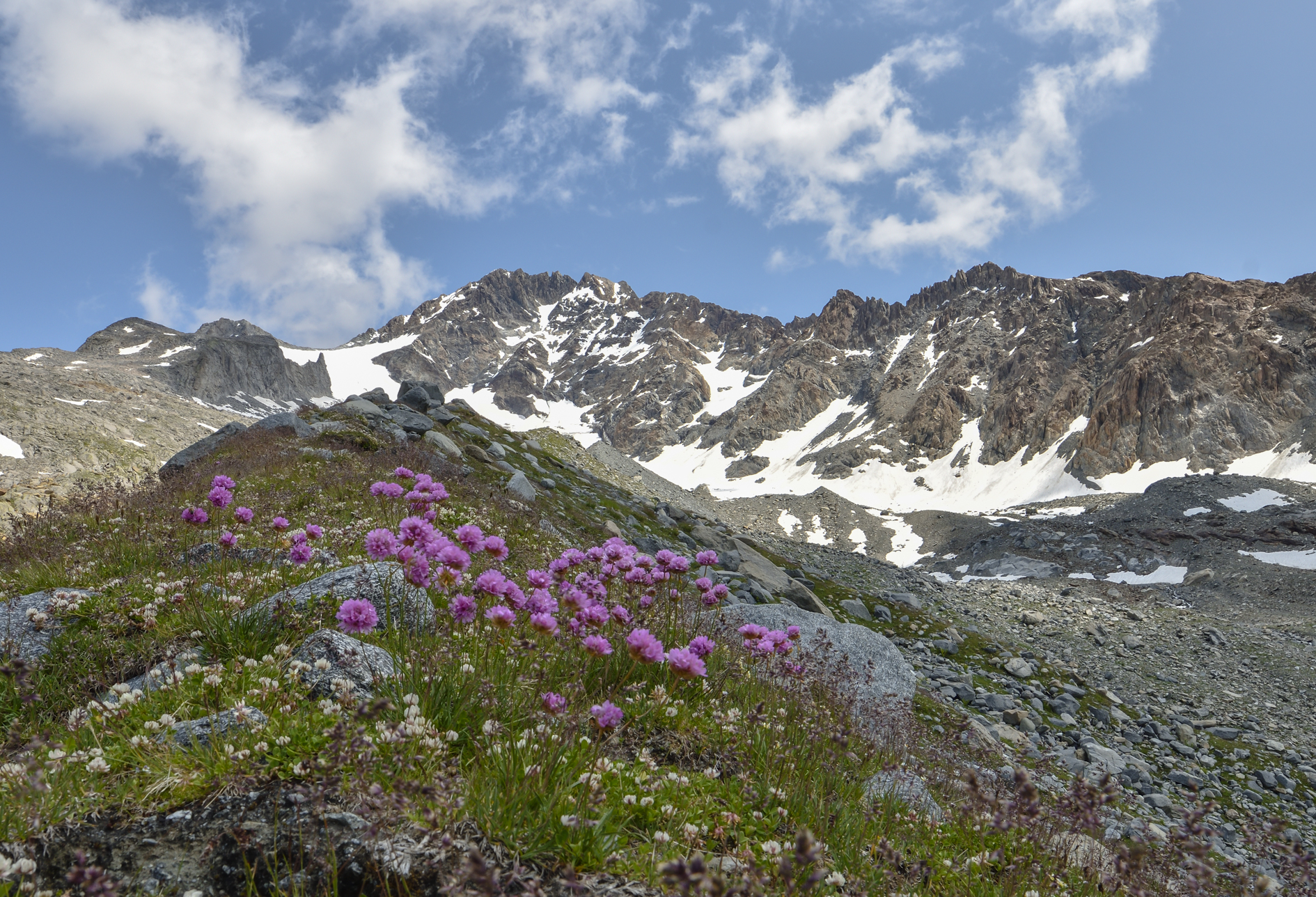 on their way to the beloved mountains