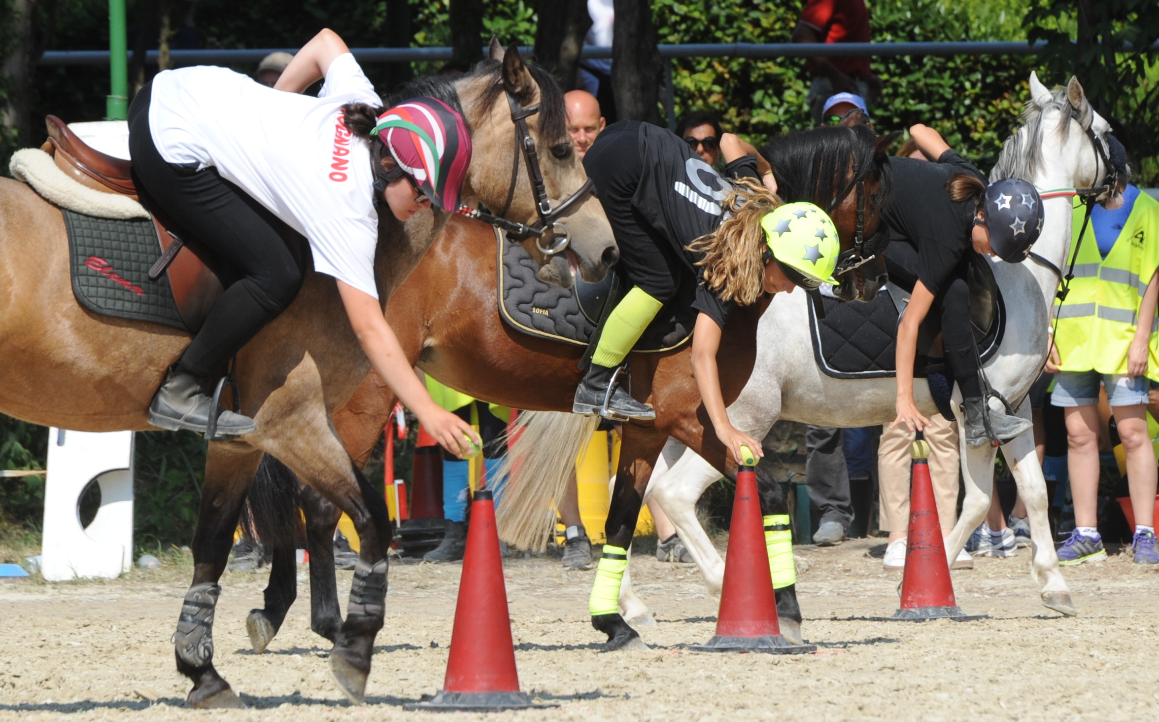 Pony Game