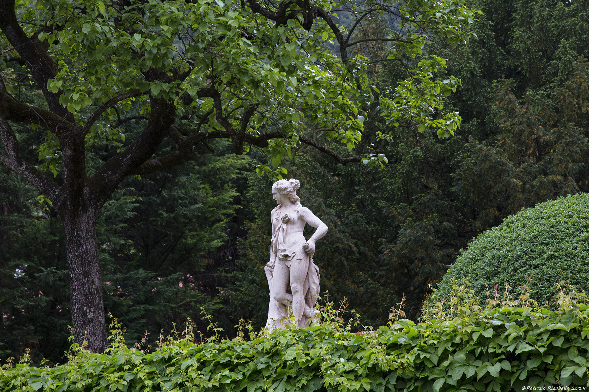 The quiet of the garden