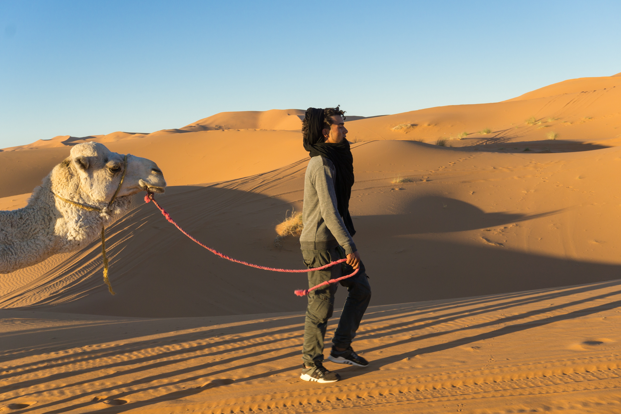 Camminando lungo le dune
