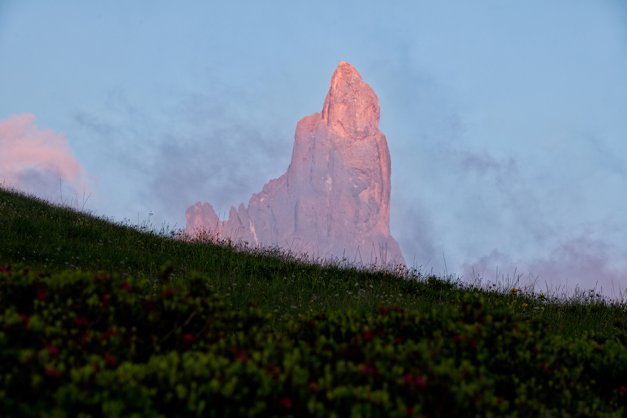Piramide tra i fiori