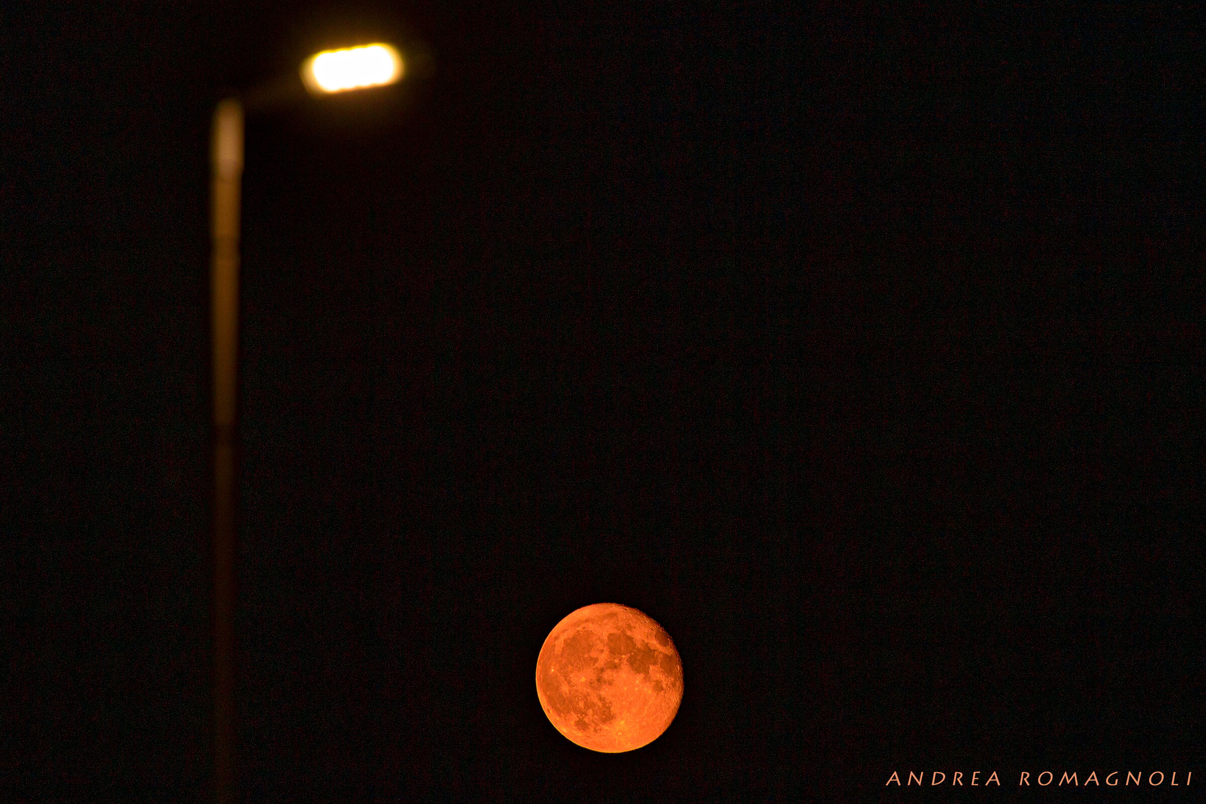 Red Moon Street, New F.