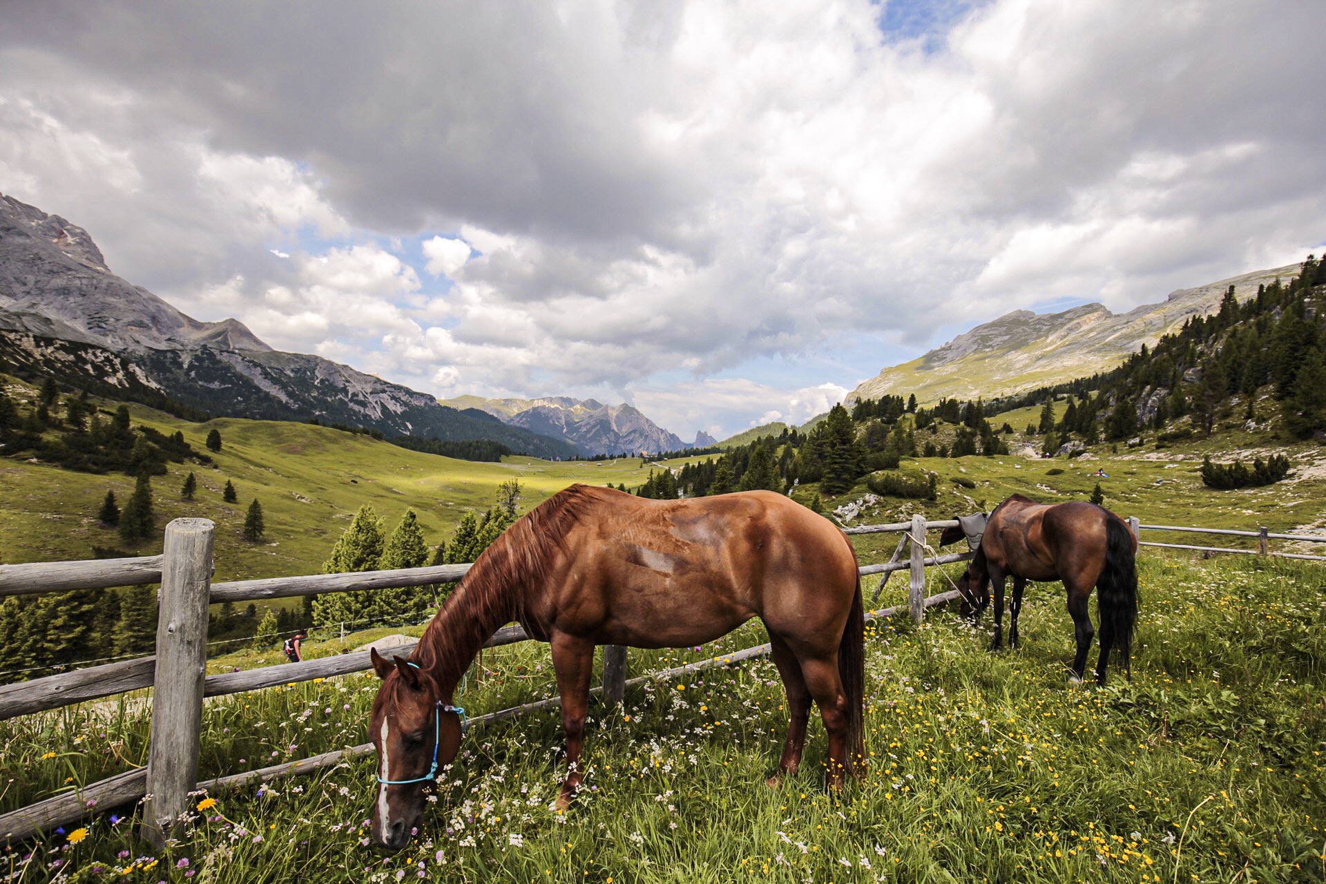 Inno alla natura a prato piazza